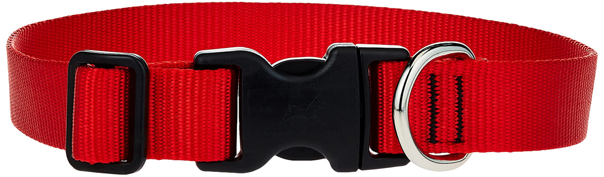 LupinePet Basics 1&quot; Red 12-20&quot; Adjustable Collar for Medium and Larger Dogs