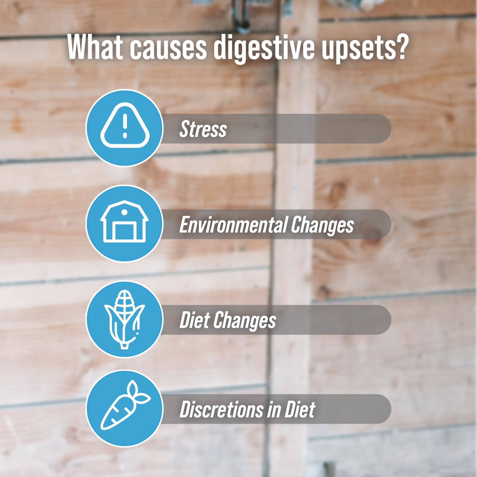 DiaGel for Equine - Orally Administered Gel for Occasional Loose Stools and Digestive Upset - Natural Horse Products - Van Beek