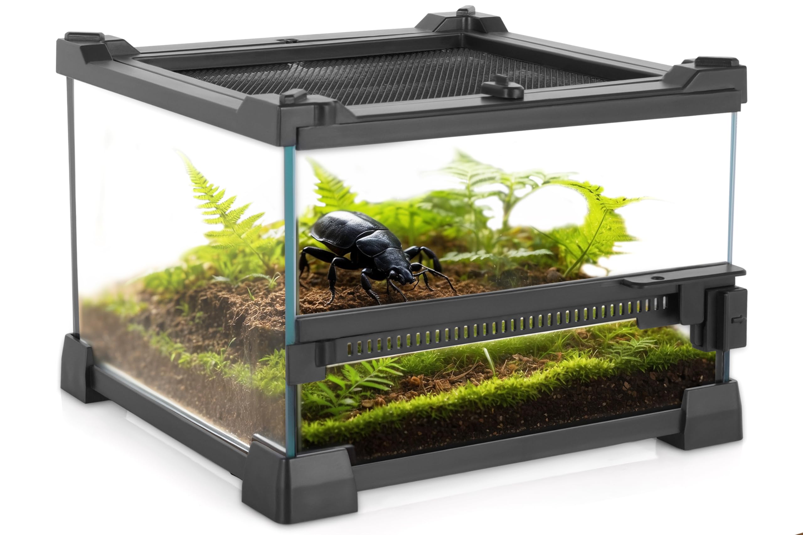 Neptonion Mini Reptile Glass Terrarium 8''X8''X6'' Durable Reptile Habitat Tank With Heat Resistant Aluminum Alloy Frame, Single