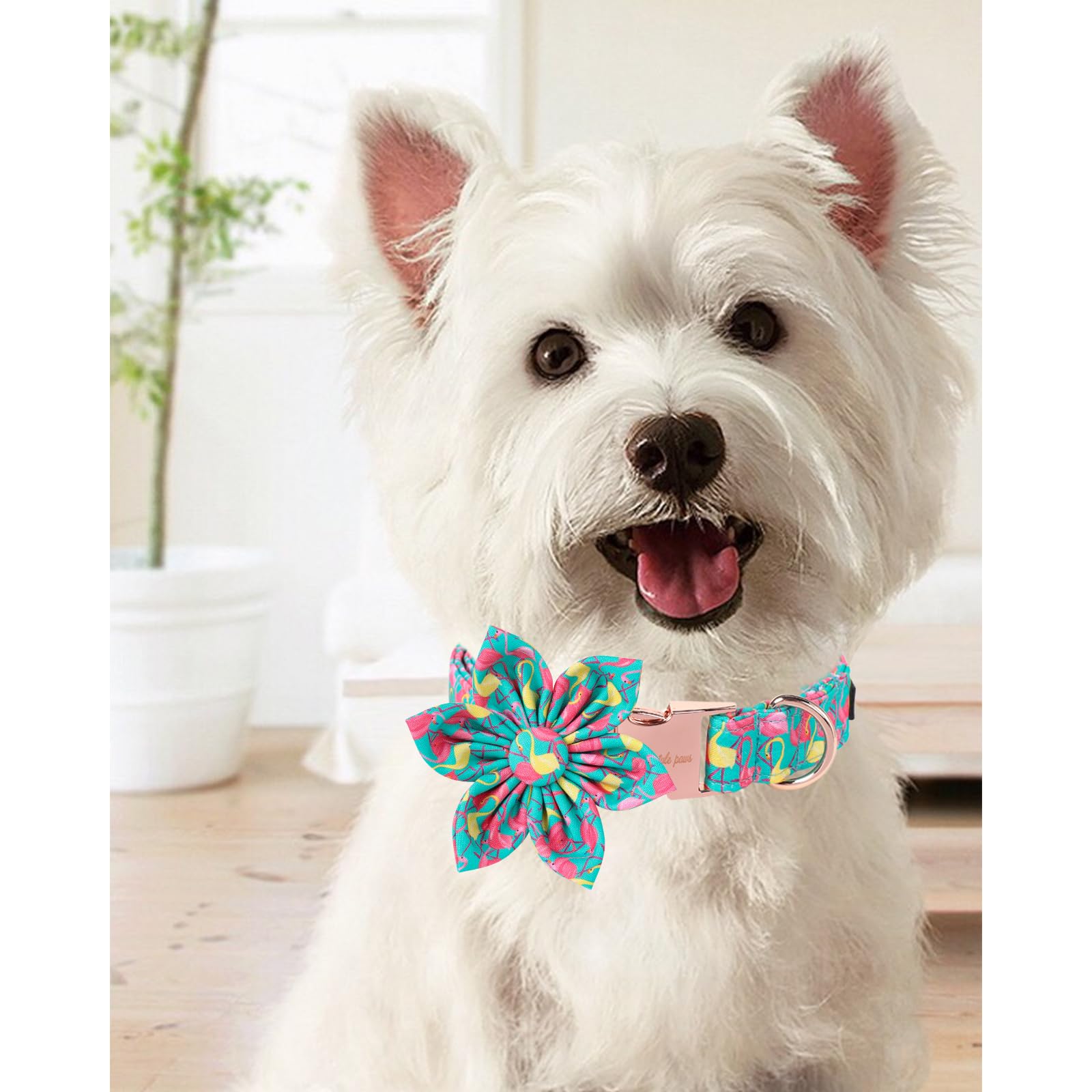 Unique Style Paws Summer Dog Collar With Floral Bow,Flamingo Bow Tie Puppy Collar, Cute Green Dog Bow Collar For Small,Medium,La