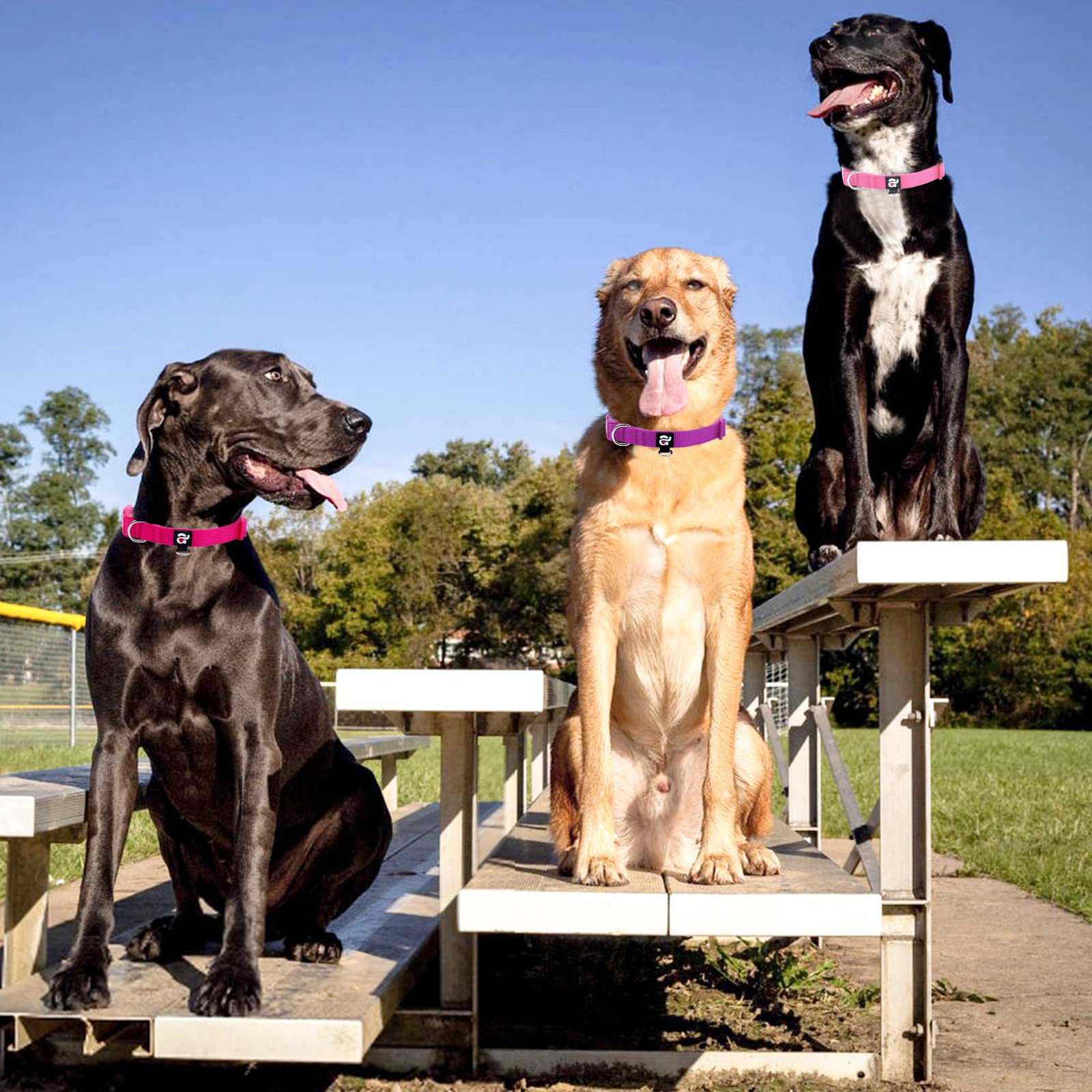 Azuza 3 Pack Dog Collars Comfortable And Adjustable Nylon Dog Collars For Large Dogs, L (18-26Inch), Pink, Hot Pink And Purple