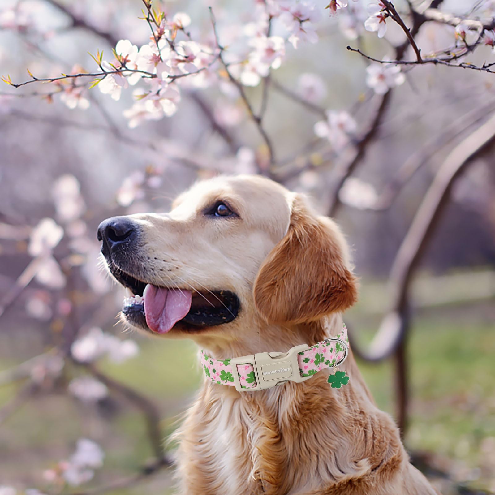 Lionet Paws St. Patrick Dog Collar- Cute Clover Pink Dog Collars With Plastic Buckle, Light Adjustable Dog Collars With Clover P