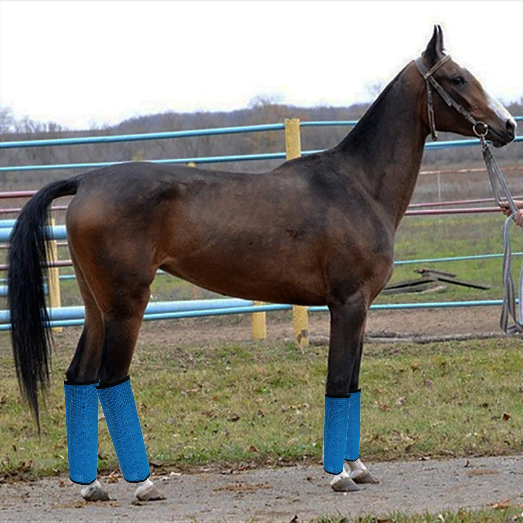 Mayting 4 Pack Mesh Fly Boots For Horse - Blue - All Seasons - Solid - Drawstring Closure - Breathable - Protects From Flies - S