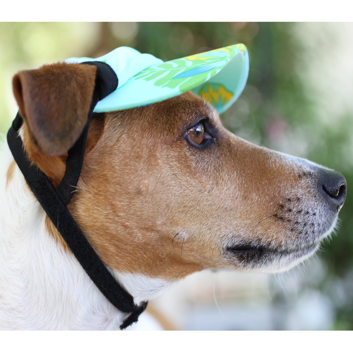 PlayaPup Sun Protective Dog Visor, Fuchsia, X-Large