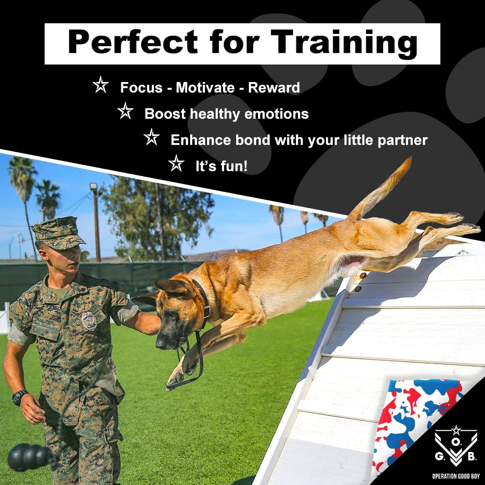 Operation Good Boy Beef Dog Treats - 1/4 High-Protein Training Squares, Natural Farm-Raised Meat for Small to Large Dogs - Freed