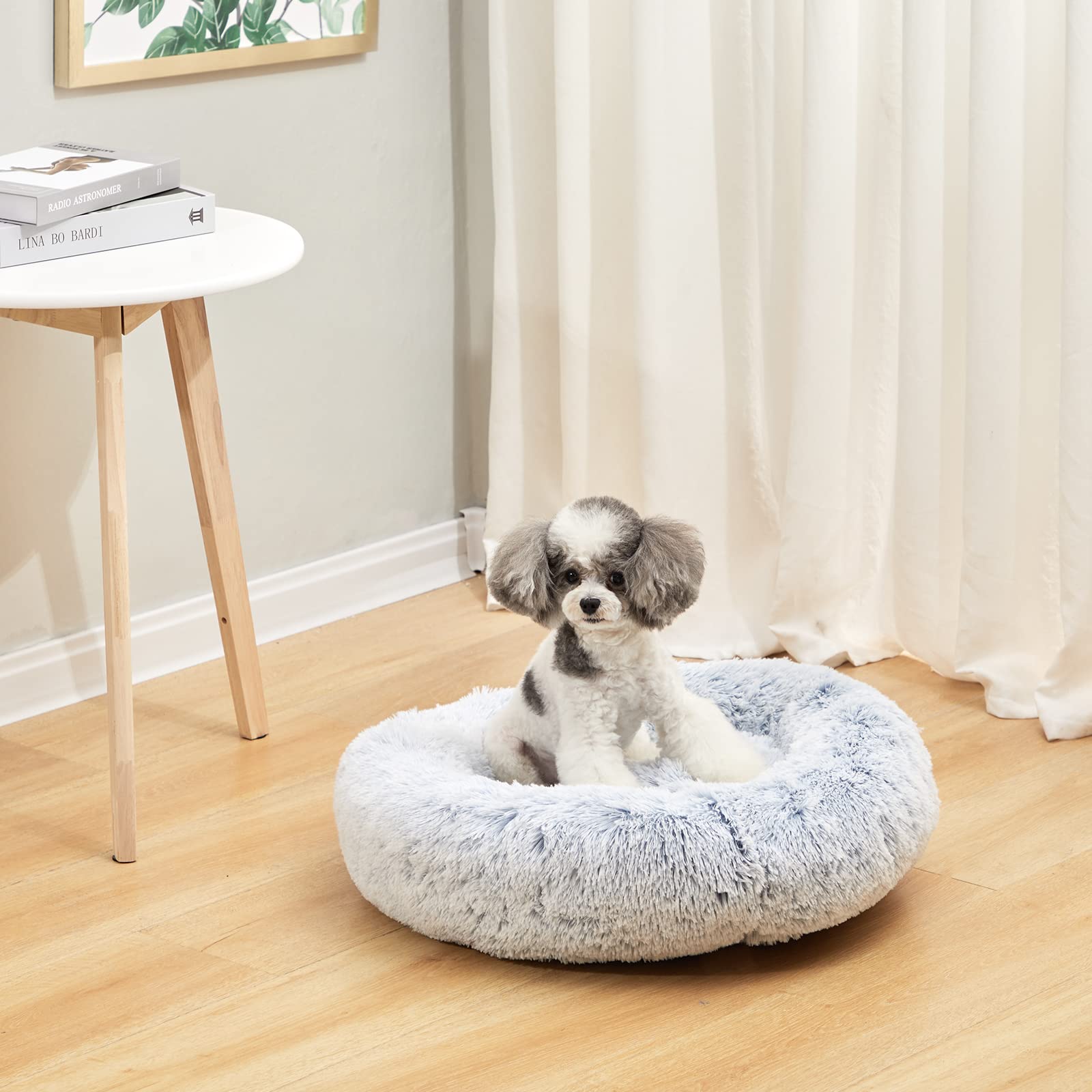 Bedfolks Calming Donut Dog Bed, 23 Inches Round Fluffy Dog Beds For Small Dogs, Machine Washable Anti-Anxiety Plush Puppy Bed(Li