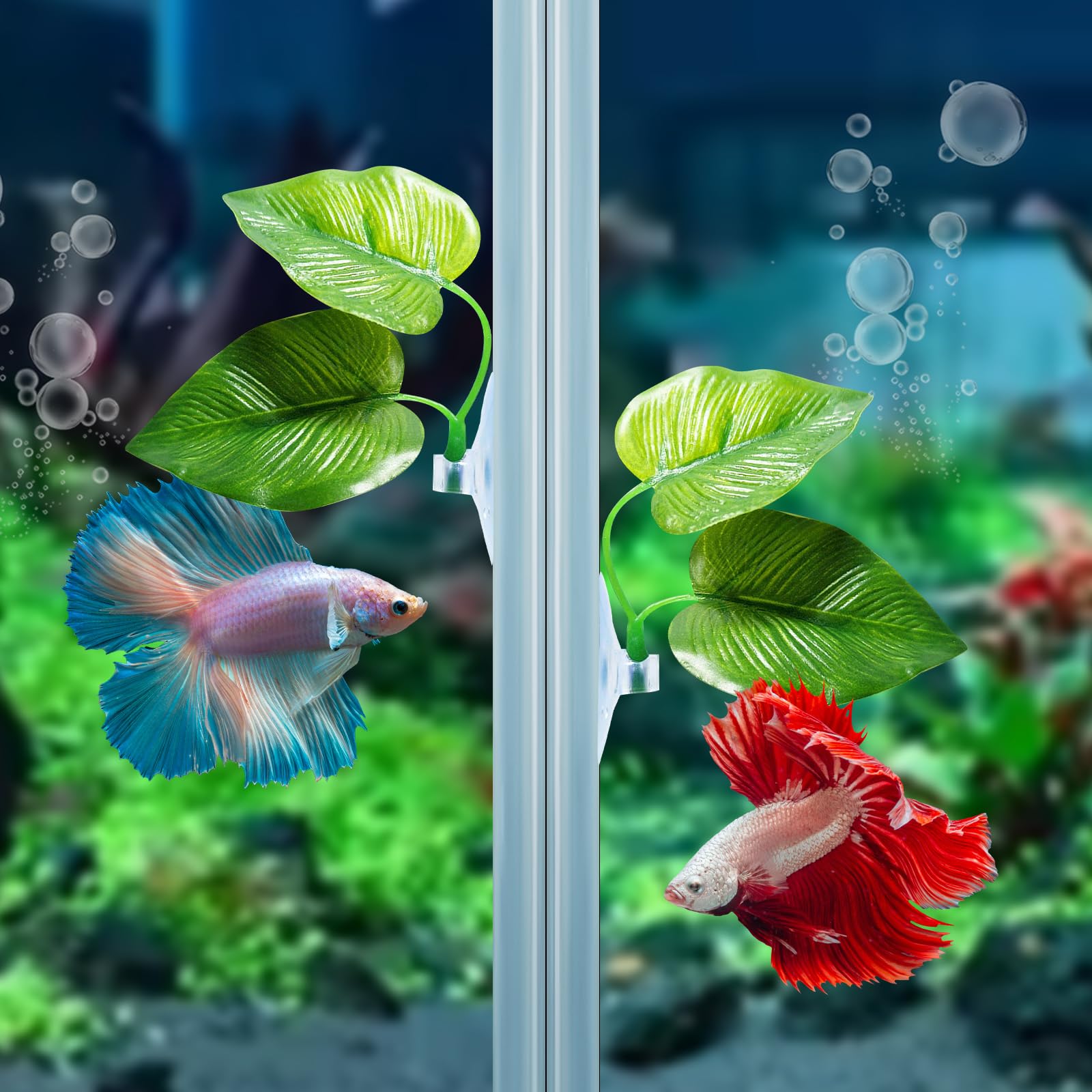 CousDUoBe 4 Pack Betta Fish Leaf Pad Improves Betta s Health by Simulating The Natural Habitat - Natural, Organic, Comfortable
