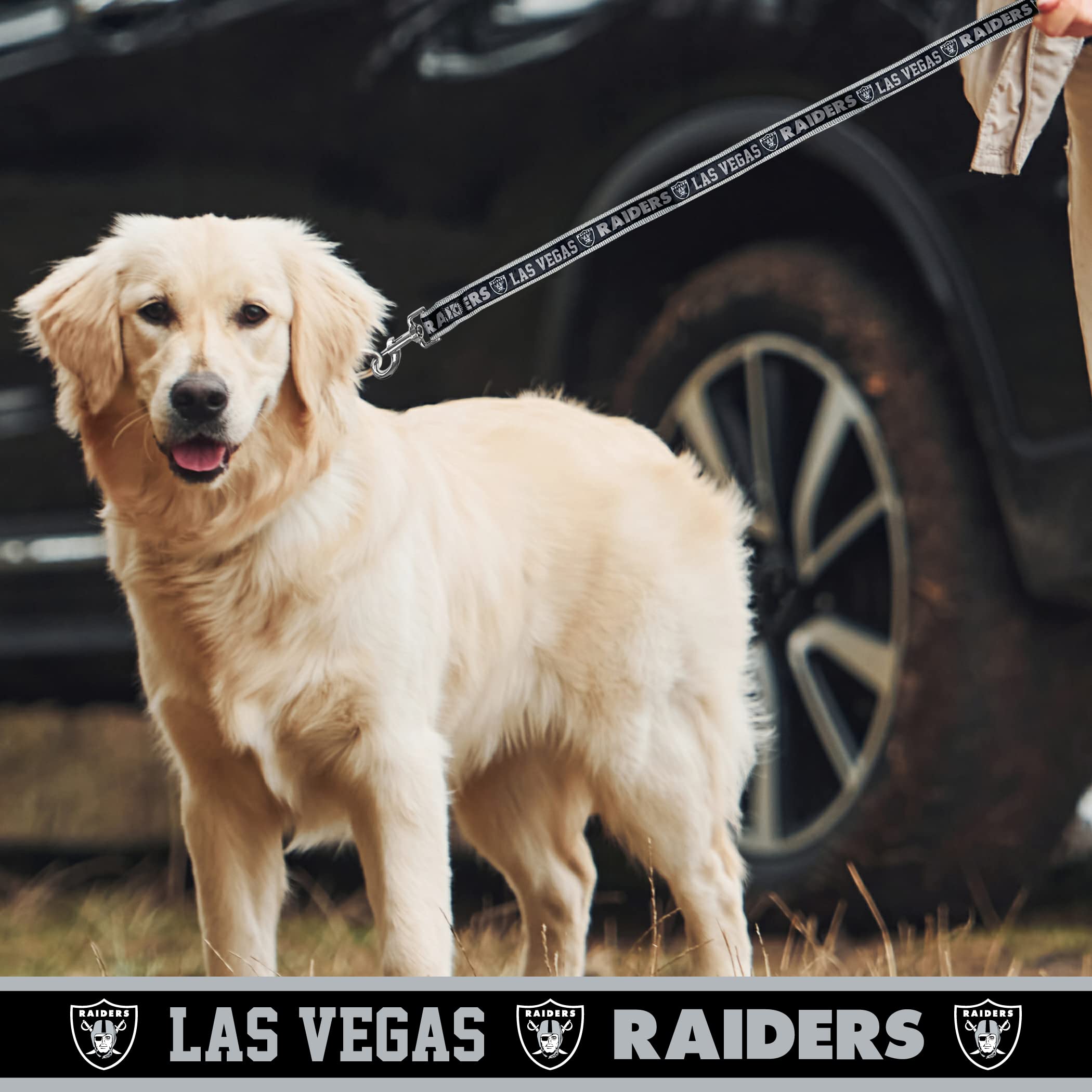 Nfl Pet Leash Las Vegas Raiders Dog Leash, Large Football Team Leash For Dogs & Cats. A Shiny & Colorful Cat Leash & Dog Leash L
