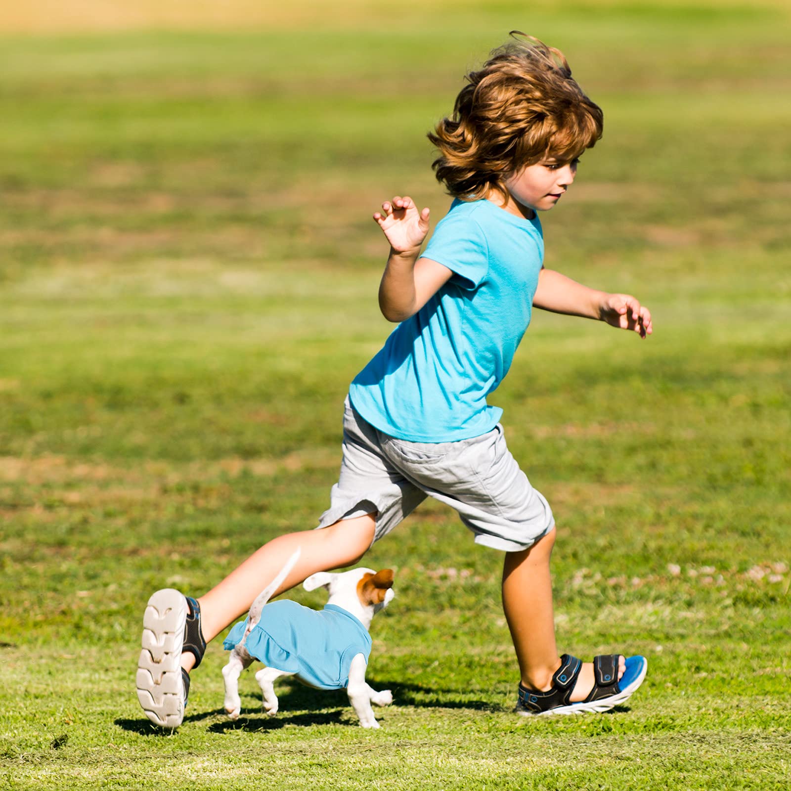 6 Pieces Dog Dresses Dog Shirt Skirt Dog Sleeveless Dress Breathable Pet Shirts With Ruffles Dog Sundress Dog Outfits For Dogs And Cats (Cute Style, Xs Size)