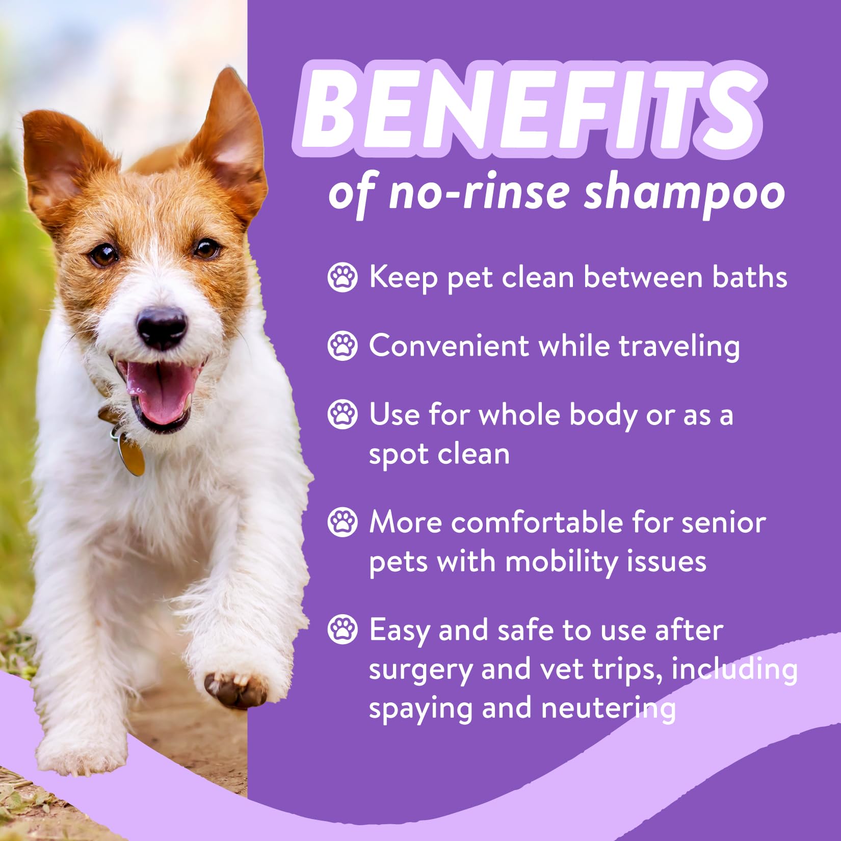 Bodhi Dog Waterless Shampoo  Natural Dry Shampoo For Dogs Or Cats  Neutralizes Pet Odor  No Rinse Required  Made With Natural Ex