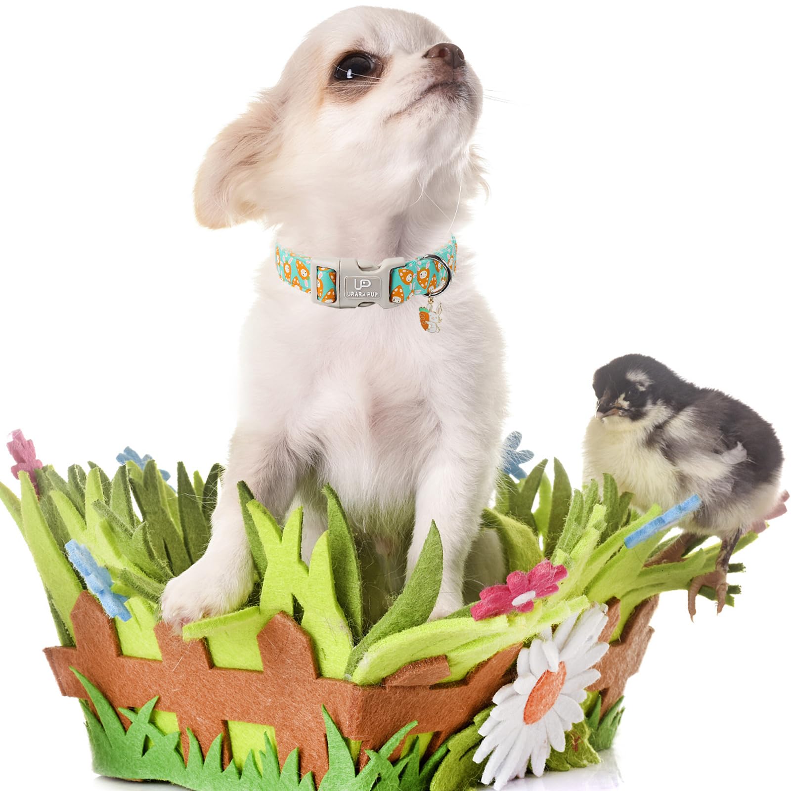 Up Urara Pup Easter Dog Collar, Lovely Cotton Easter Carrot Adjustable Puppy Collar For Girl Boy Dog, Adorable Carrots Collar Fo