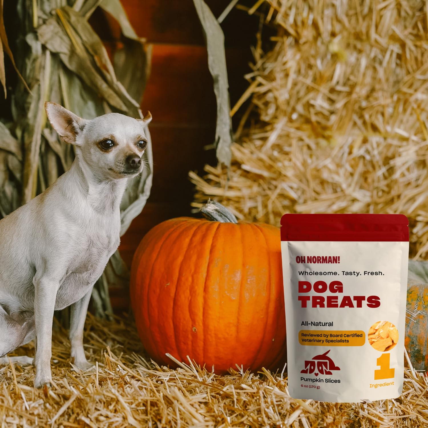 OH NORMAN! Single Ingredient Pumpkin Dog Treats, Healthy & Air Dried, 6 Oz, Ethically Sourced in Canada, Beige
