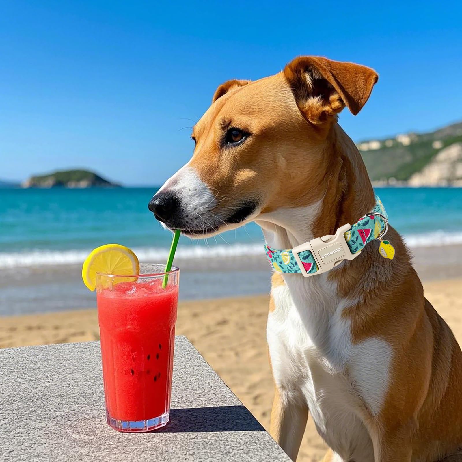 Dogwong Summer Dog Collar, Summer Lemon Watermelon Dog Collars, Adjustable Cute Boy Pet Collars Girl Design Dog Collar For Small