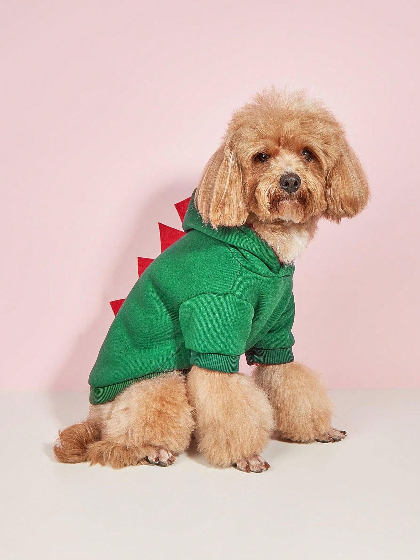Qwinee Dinosaur Dog Hoodie Dog Warm Jacket Christmas Halloween Dog Costume Dog Clothes For Puppy Kitten Small Medium Dogs Cats D