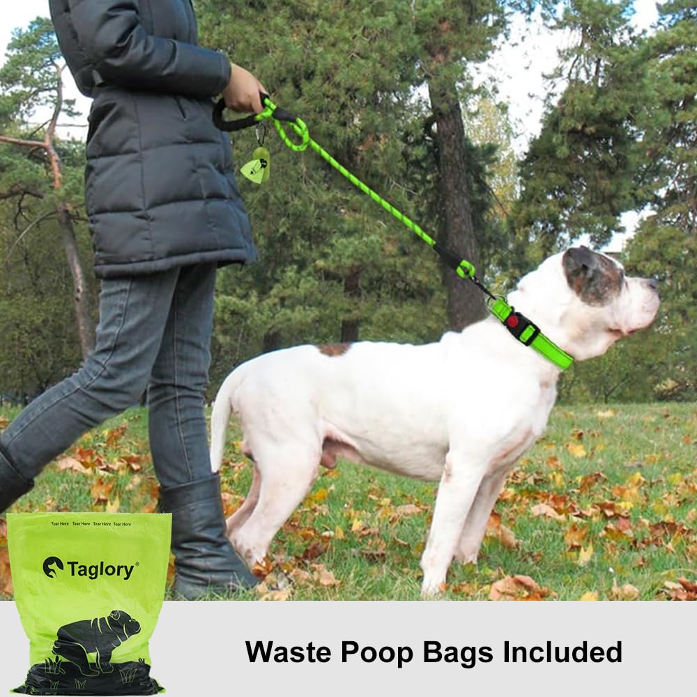 Taglory Rope Dog Leash 6 Ft With Comfortable Padded Handle, Highly Reflective Threads Leash For Medium Large Dogs, 1/2 Inch, Gre