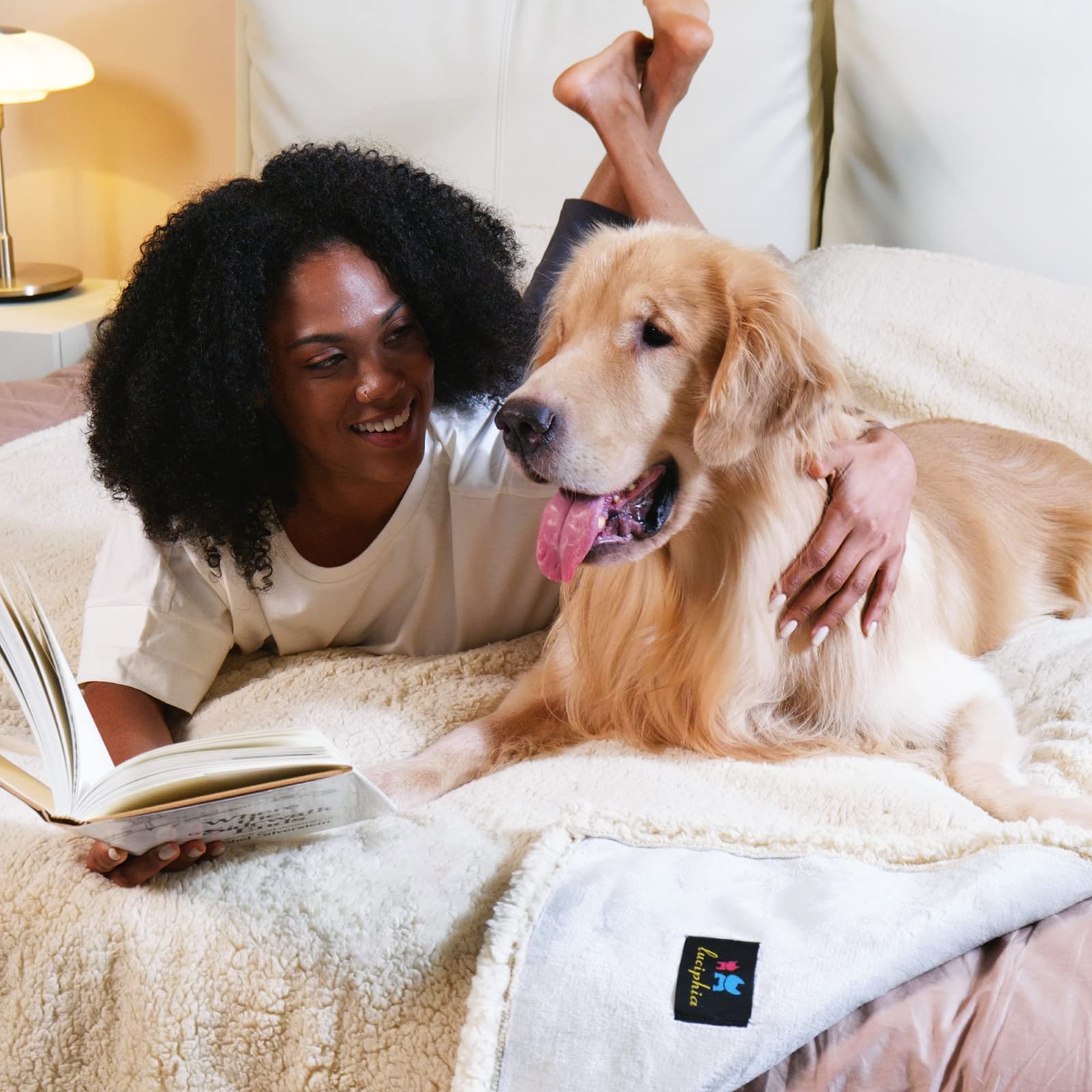 Waterproof Pet Blanket, Liquid Pee Proof Dog Blanket For Sofa Bed Couch, Reversible Sherpa Fleece Furniture Protector Cover For Small Medium Large Dogs Cats, Grey White Medium(57' X 40')