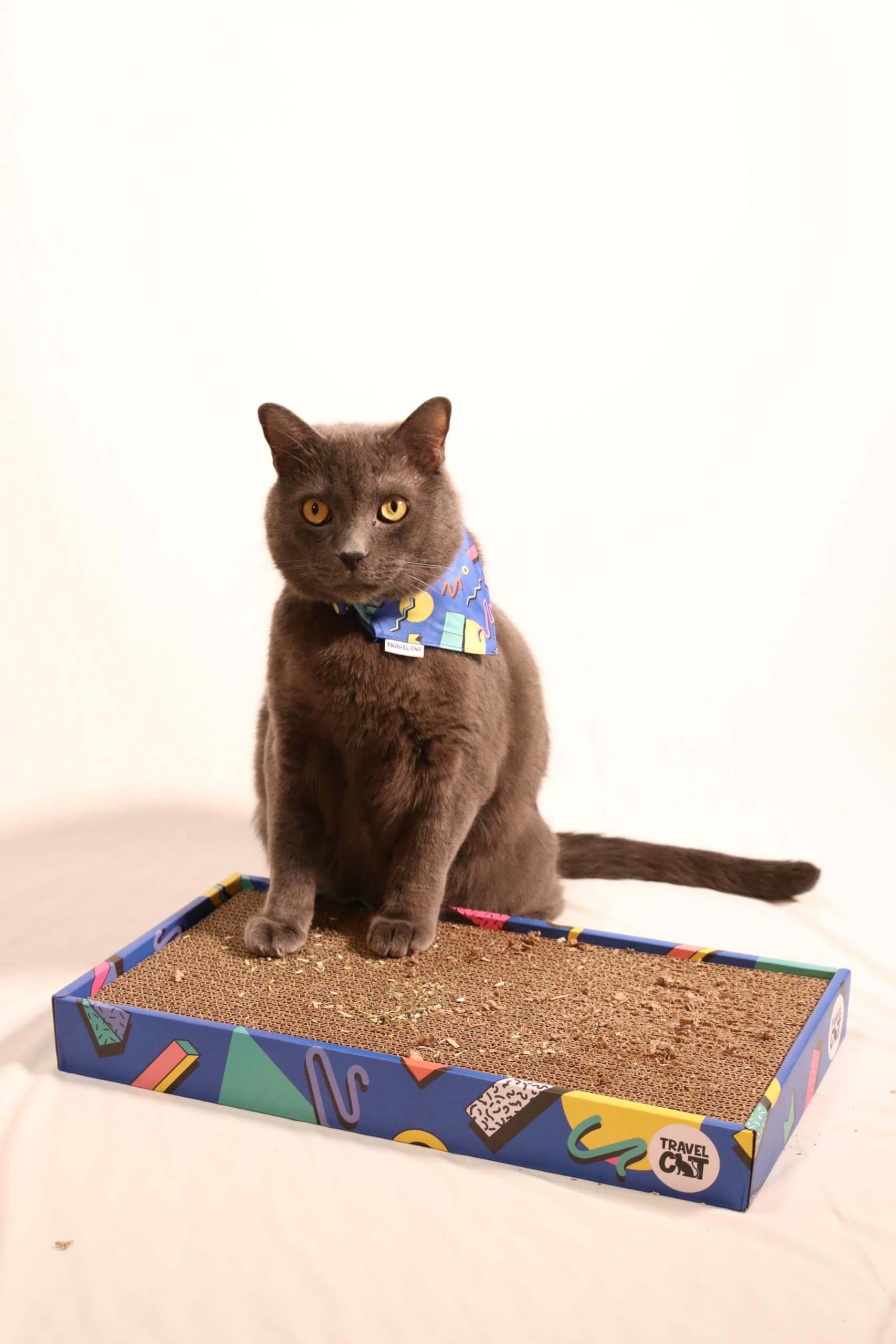 Travel Cat Portable Cat Scratcher - Durable And Recyclable Cat Scratching Board For Indoor Cat, Kitten For Rest, Play, Scratch -