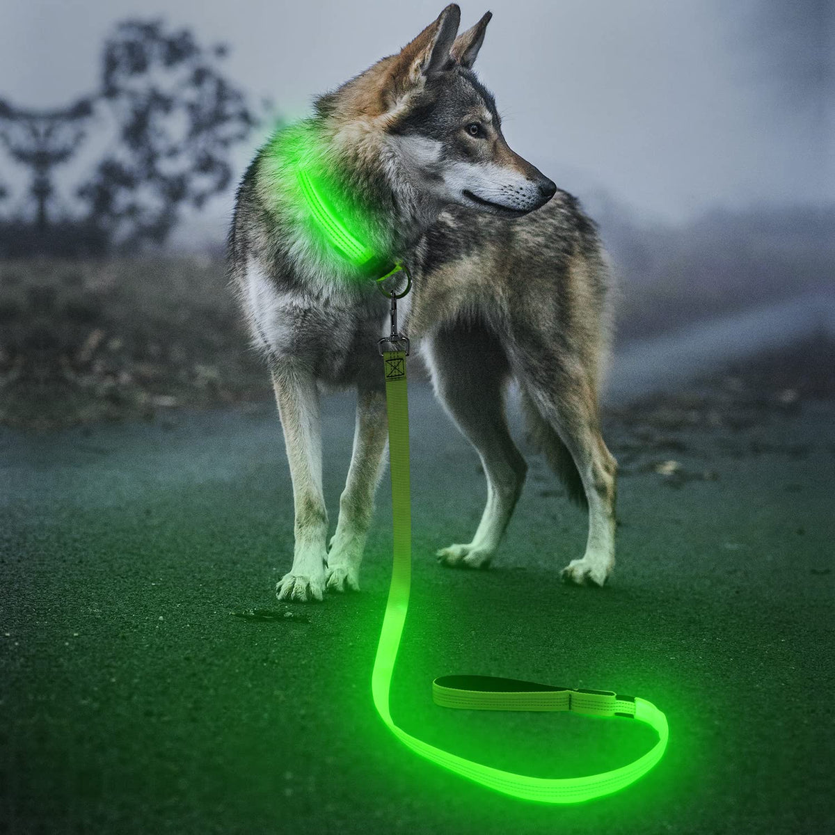 Bseen Light Up Dog Leash, Refelctive Led Dog Leash Rechargeable Glowing Pet Lead Safety Dog Lights For Night Walking (4 Ft, Reflective Green)