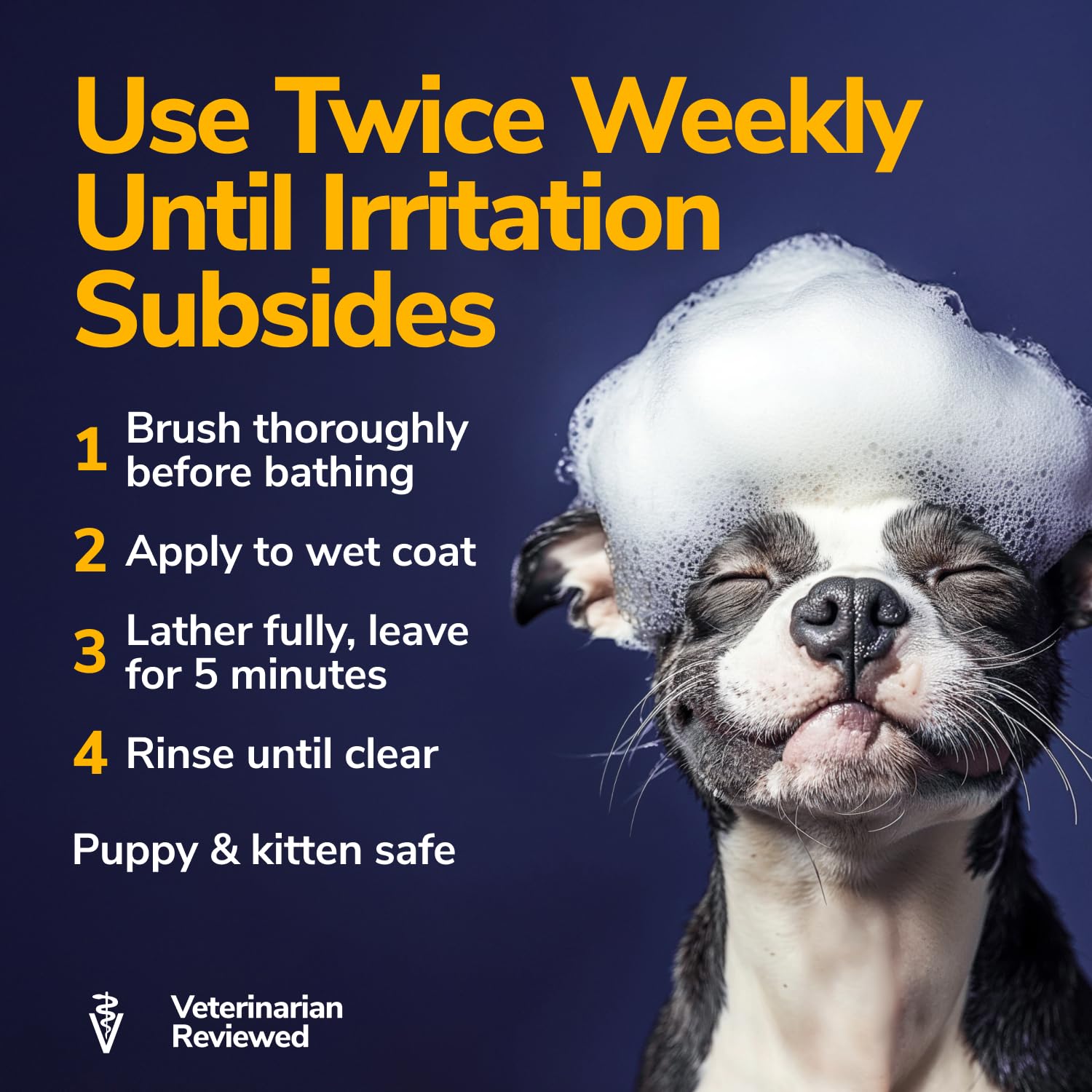 Miracle Vet Medicated Dog Shampoo For Itchy Skin Relief - Yeast Infection Treatment For Dogs & Dog Allergy Relief Hot Spot Treat