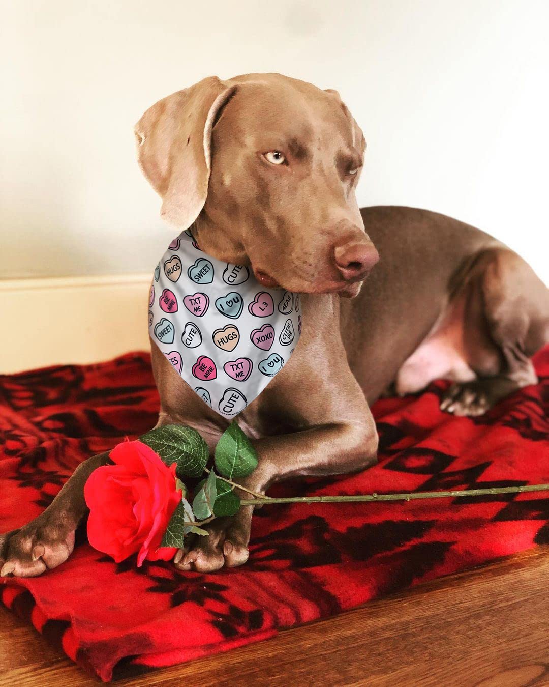 Boombone Valentines Dog Bandana, Heart Dog Bandana For Medium Large Dogs