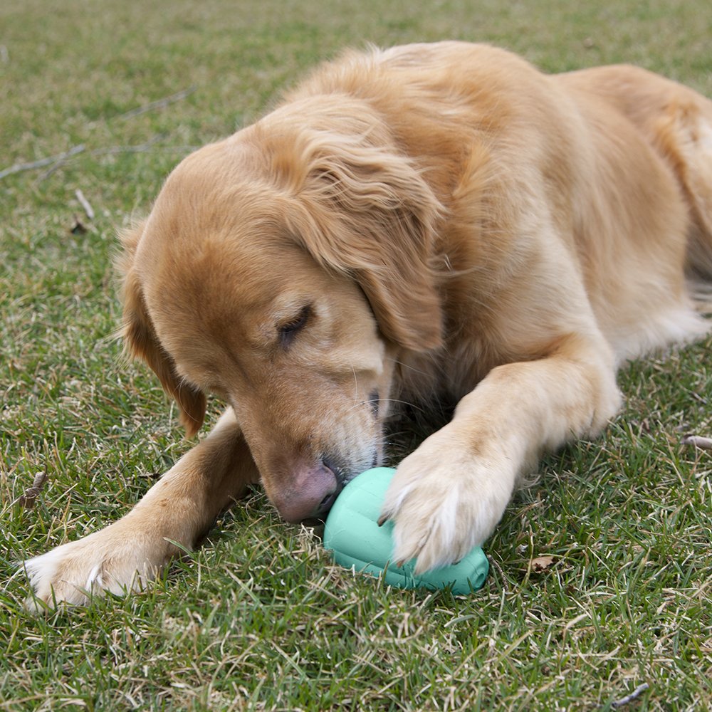 Chew King Premium Treat Dog Toy, Xl, Extremely Durable Natural Rubber Toy