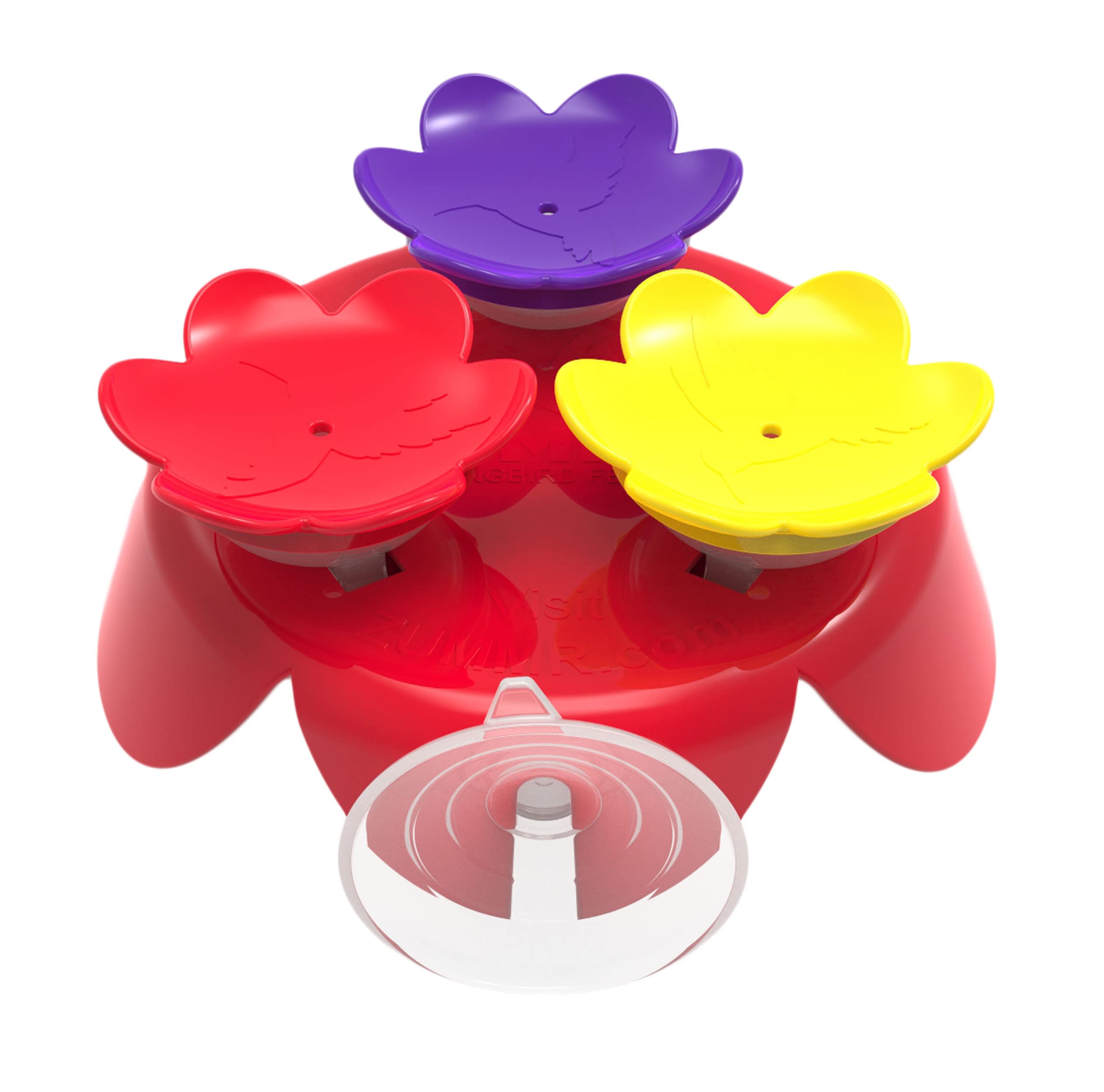 ZUMMR Hummingbird Ring Starter Kit - Hand Feed Hummingbirds Right in Your Backyard. Get up Close and Personal with Nature. Proud