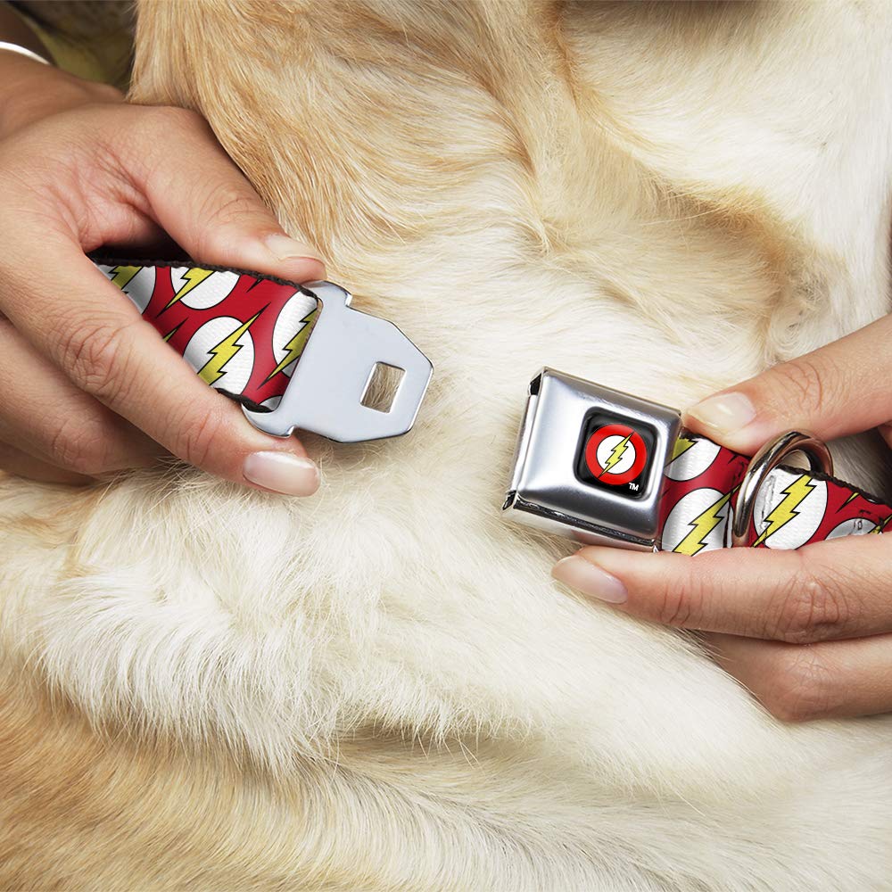 Buckle-Down Dog Collar Seatbelt Buckle Flash Logo Scattered Red White Yellow 11 To 17 Inches 1.0 Inch Wide