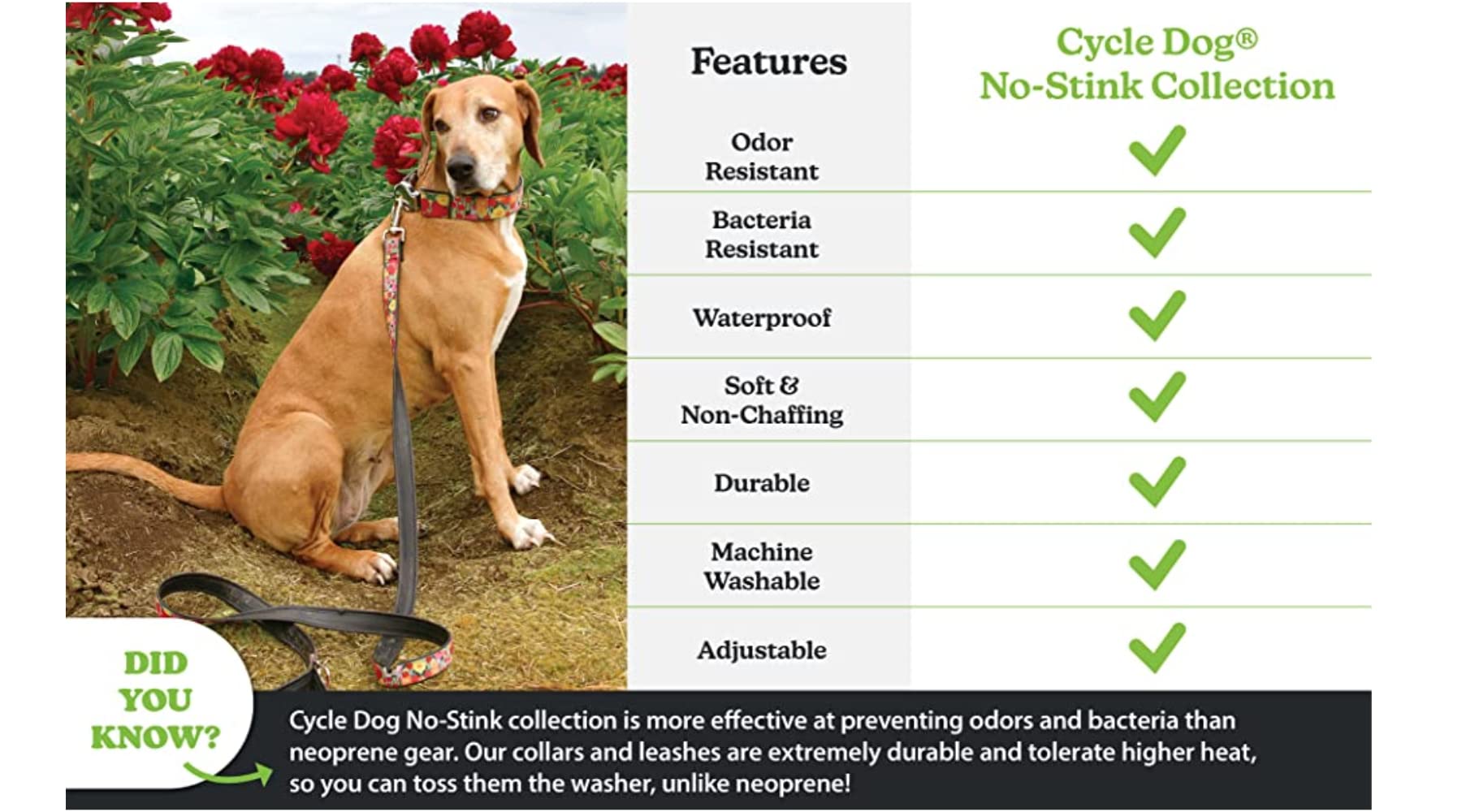 Cycle Dog Rcm-Co-M Colorado Bottle Opener Dog Collar With Airline, Medium (12'-21'),Blue