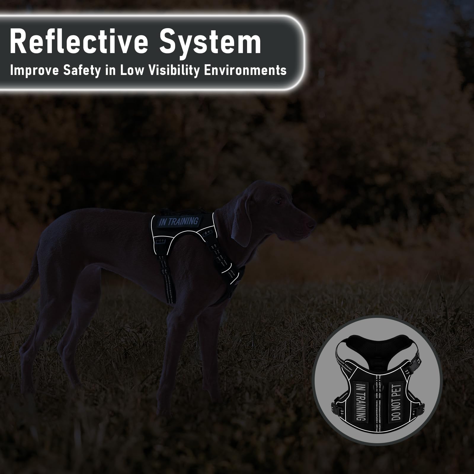 Dog Harness For Small Dog Breeds, Non Pulling Escape Proof Black Reflective Puppy Vest Harness With Handle, No Choke, Adjustable