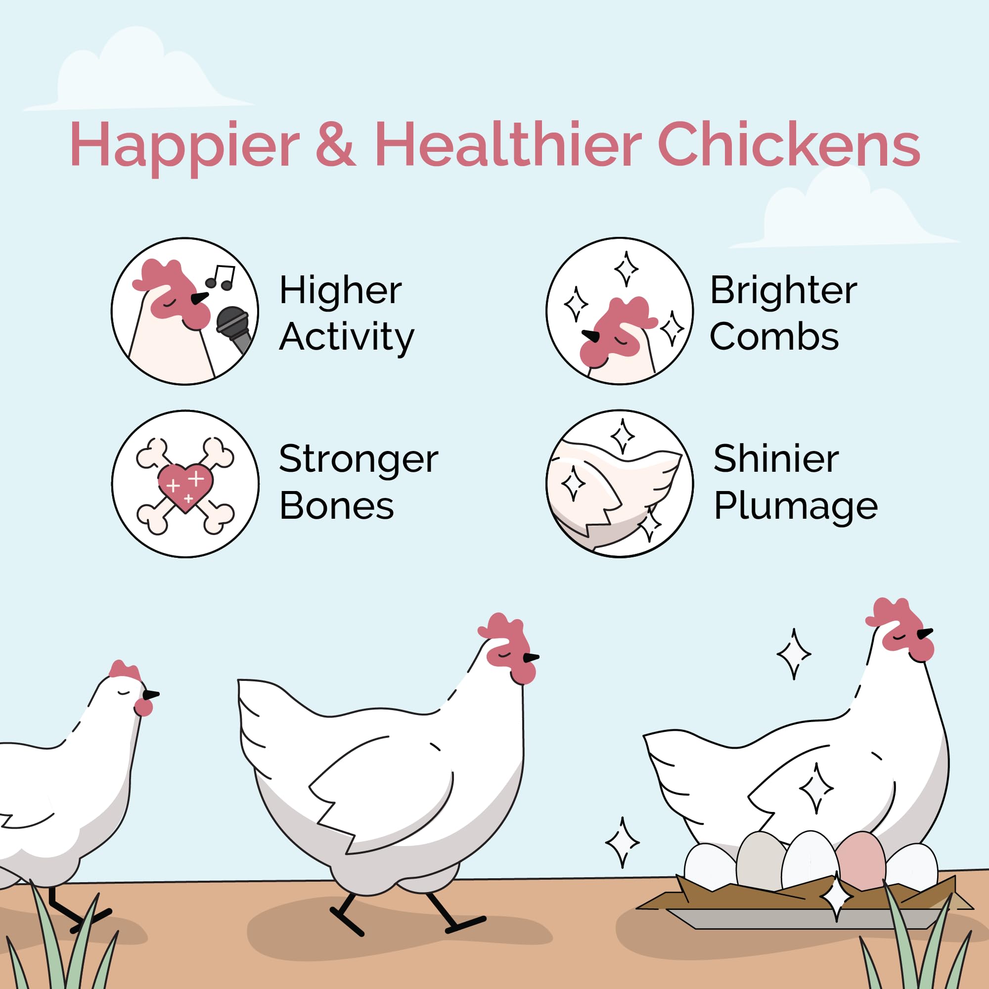 Mile Four Chicken Grit for Layer & Grower Chickens Age 8-20+ Weeks - 100% Natural Mineral Chicken Grit Quartzite, Poultry Grit,