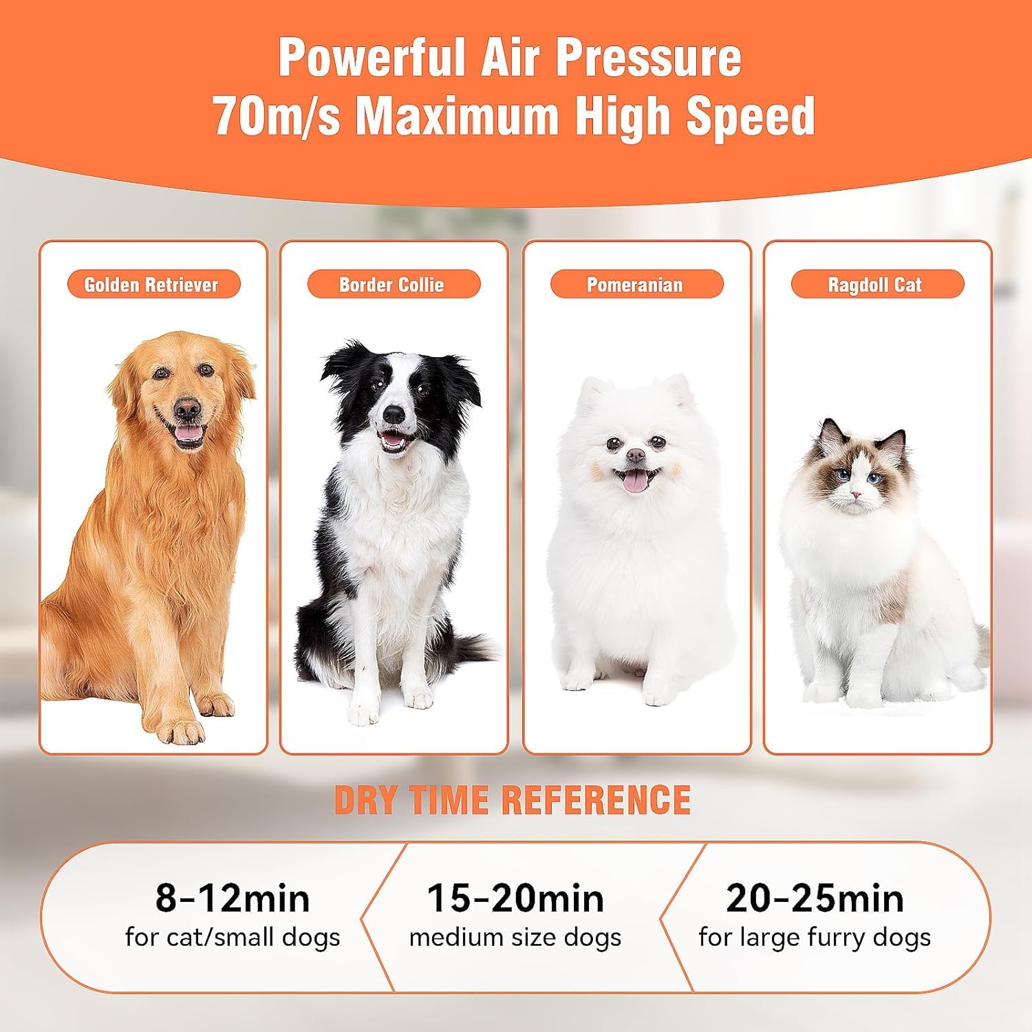 Pegnoy Dog Dryer, High-Speed Professional Pet Grooming Dryer, Cat Dryer, Fast Drying, 3 Different Nozzles, Suitable For All Kind