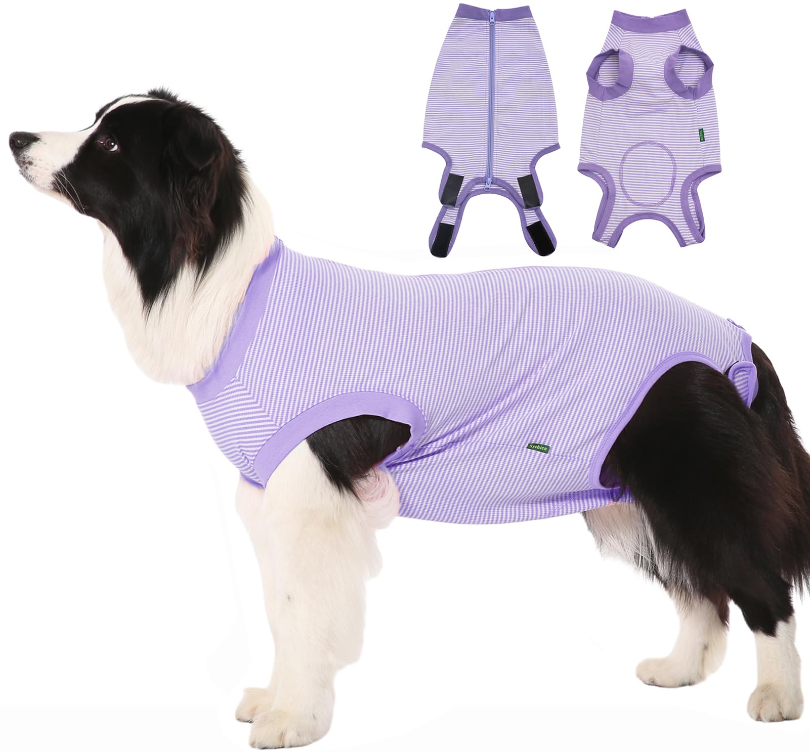 Sychien Dog Recovery Suit Purple Female Spay Surgical Small Shirt, Male Surgery Recovery Suit,Purple-White Striped S