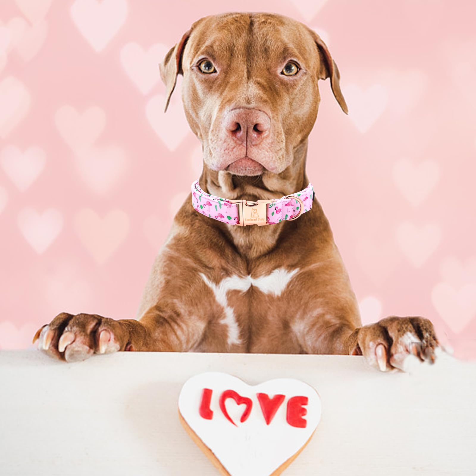 Lionheart Glory Valentine'S Day Collar, Flamingos Print Dog Collar For Large Pink Dog Collars Spring Female Pet Gift Adjustable