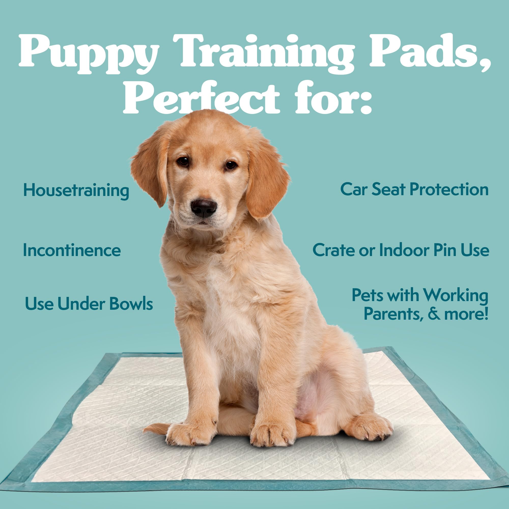 Simple Solution Training Puppy Pads | Extra Large, 6 Layer Dog Pee Pads, Absorbs Up To 7 Cups Of Liquid | 28X30 Inches, 100 Coun