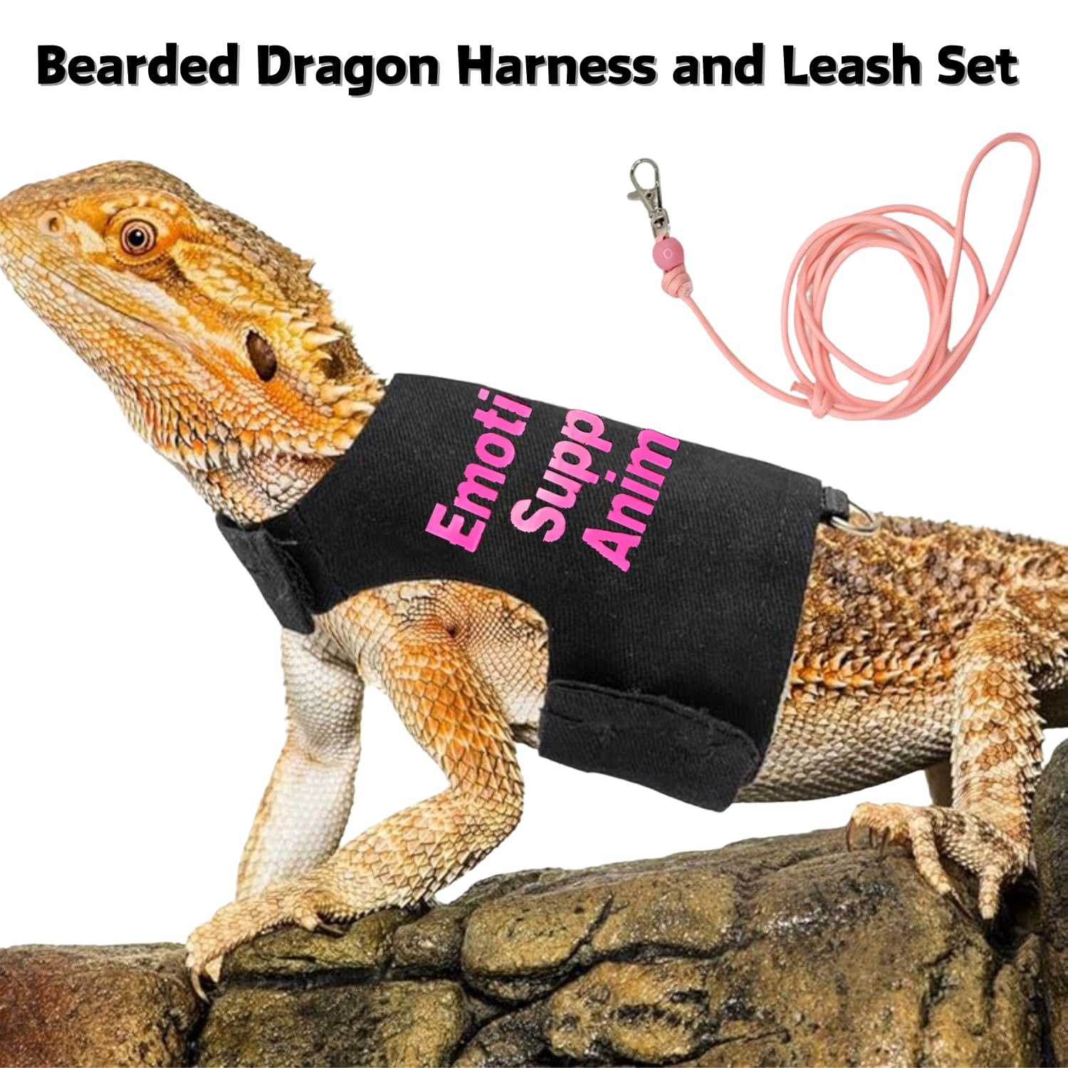 Bearded Dragon Harness And Leash Set - Adjustable Lizard Traction Rope Outdoor Walking Training Leash Reptile Emotional Support