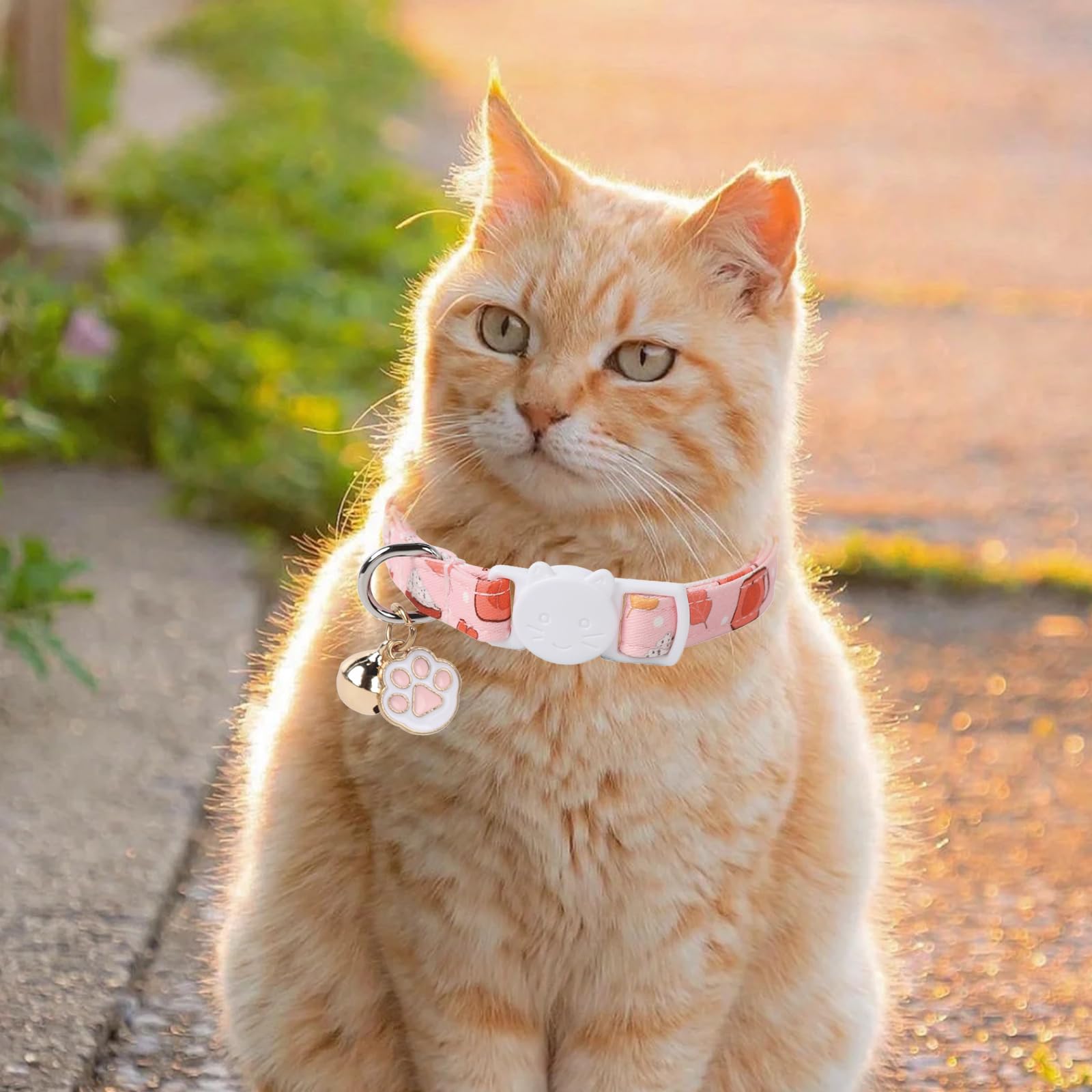 Unique Style Paws Kitten Collar,Cute Cat Collar With Bell,Kitten Collar Breakaway Buckle With Strawberry,Pumpkin Pattern,Adjusta