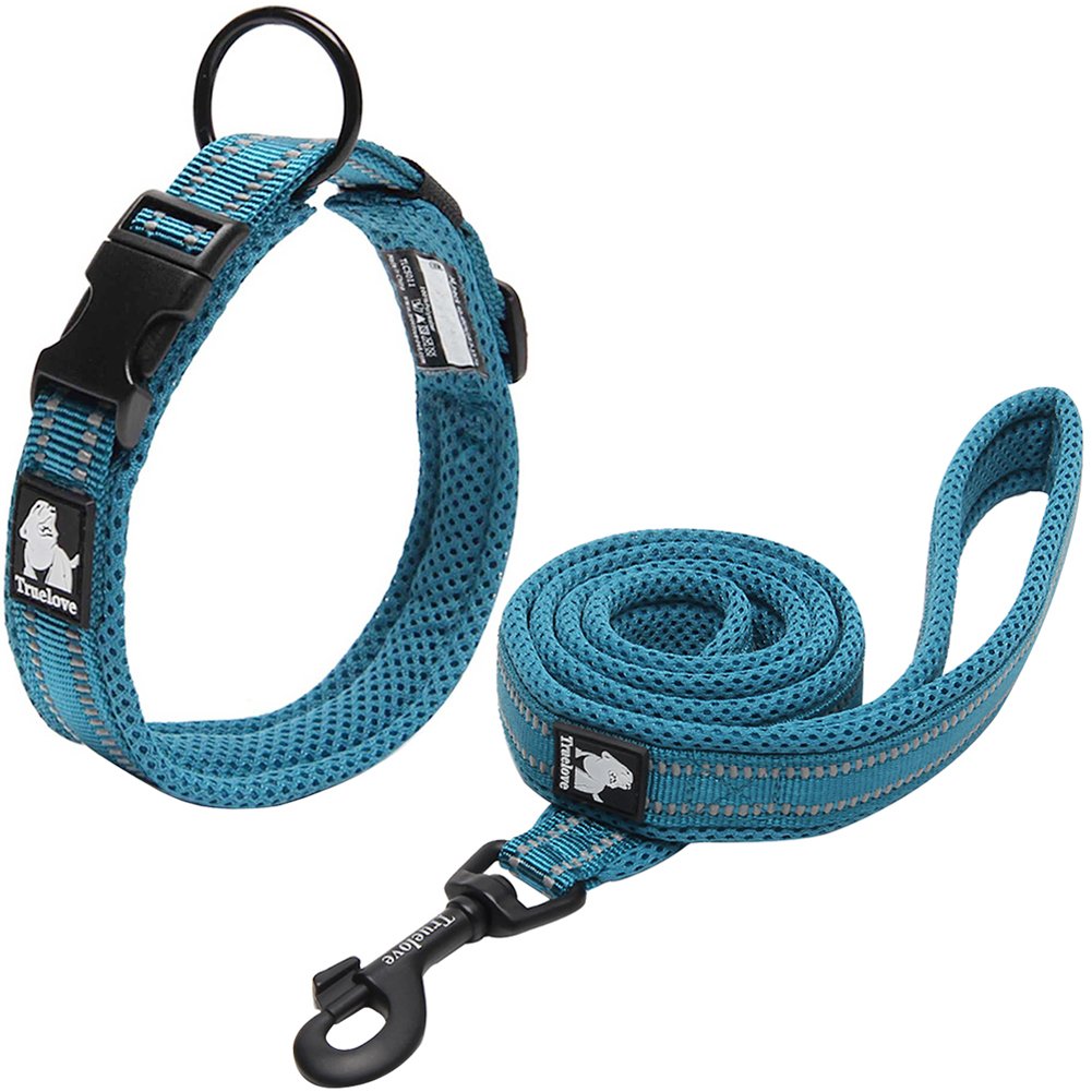 Creation Core Reflective Nylon Dog Collar And Training Leash Set For All Season Padded Durable Adjustable, Blue Xl