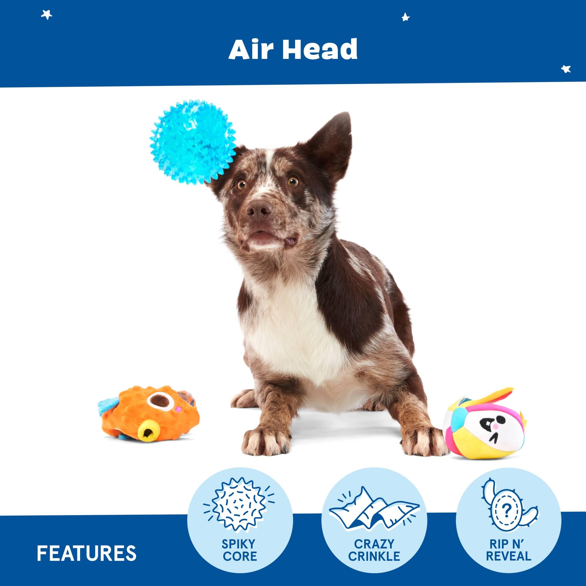 Barkbox Air Head Dog Toy - Rip & Reveal Plush Toy with Hidden Spiky Squeaker Ball, Crazy Crinkle & Fluffy Filling - Interactive