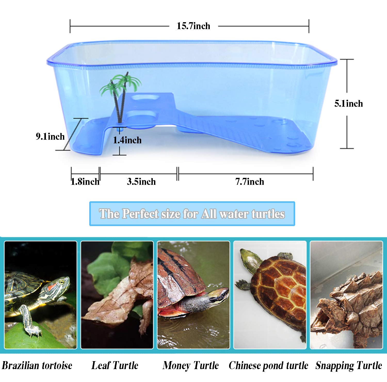 Rypet Turtle Tank Aquarium - Reptile Habitat, Turtle Habitat, Reptile Aquarium Tank For Crayfish Crab (Excluding Accessories) Blue