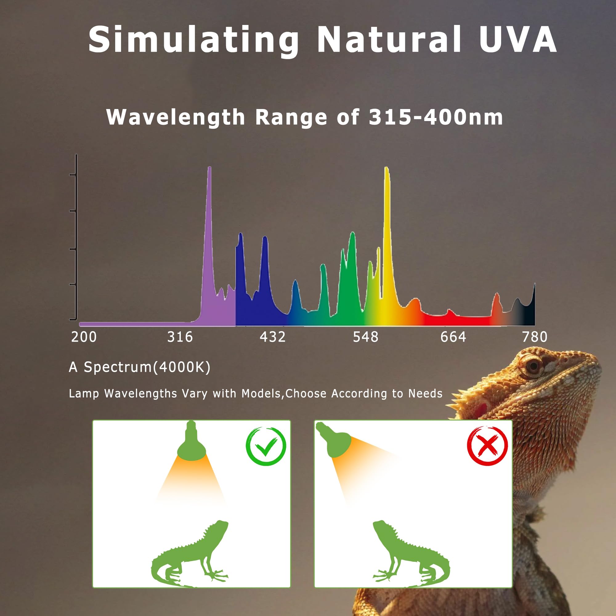 Hartompet 75W E26 Reptile Heat Lamp Bulbs - R63 Upgraded Uva Amphibian Basking Spot Light, Simulated Sunlight For Bearded Dragon