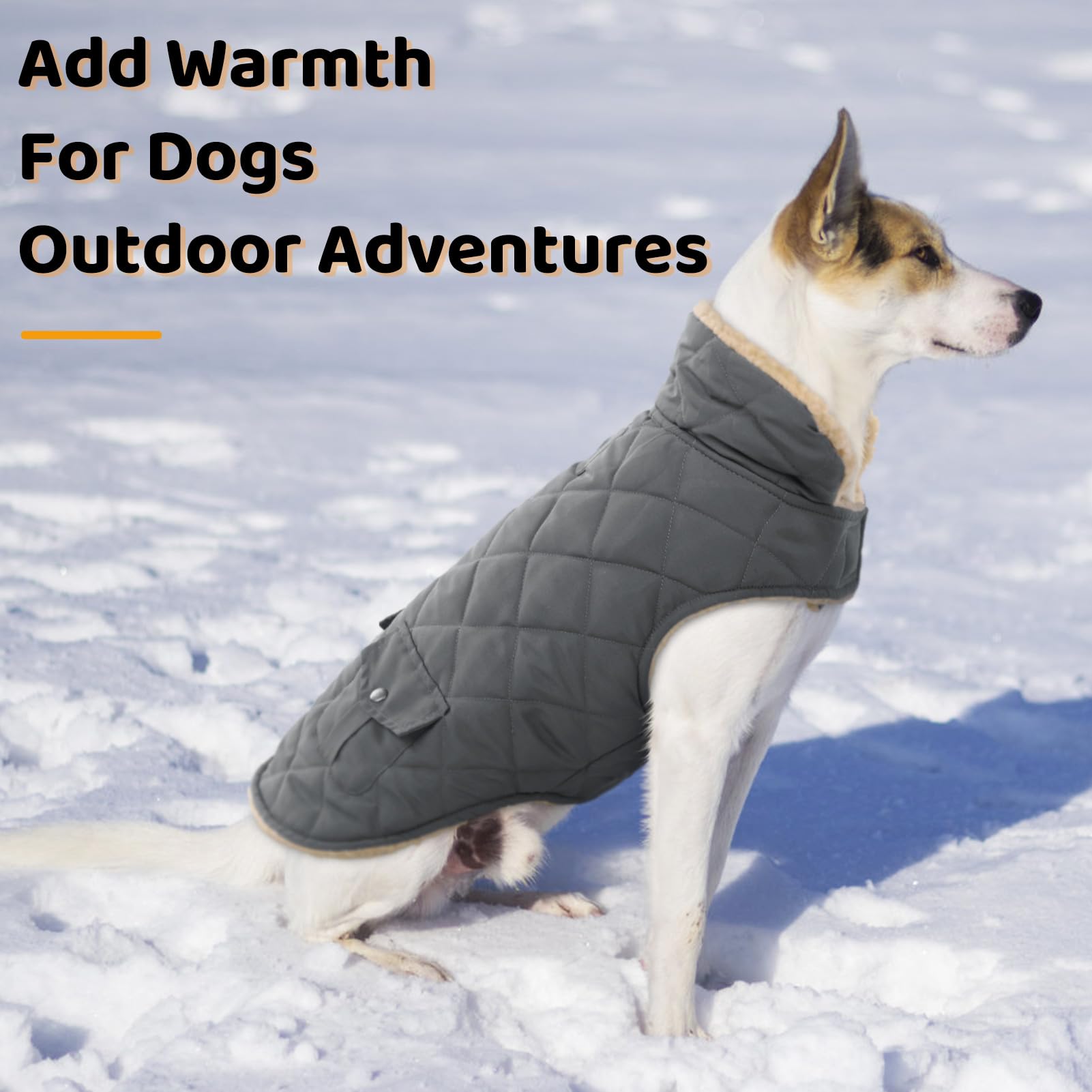 Queenmore Dog Winter Coat - Fleece Jacket, Waterproof Cold Weather Dog Clothes, Thick Warm Cotton Padding, Easy On Storage Pocke