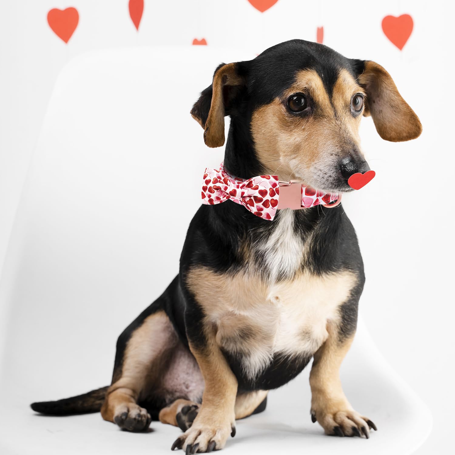 Maca Bates Valentine Day Love You Sweet Heart Dog Collar With Bow Tie For Dogs Valentines Bowtie Soft Adjustable Breakaway Red C