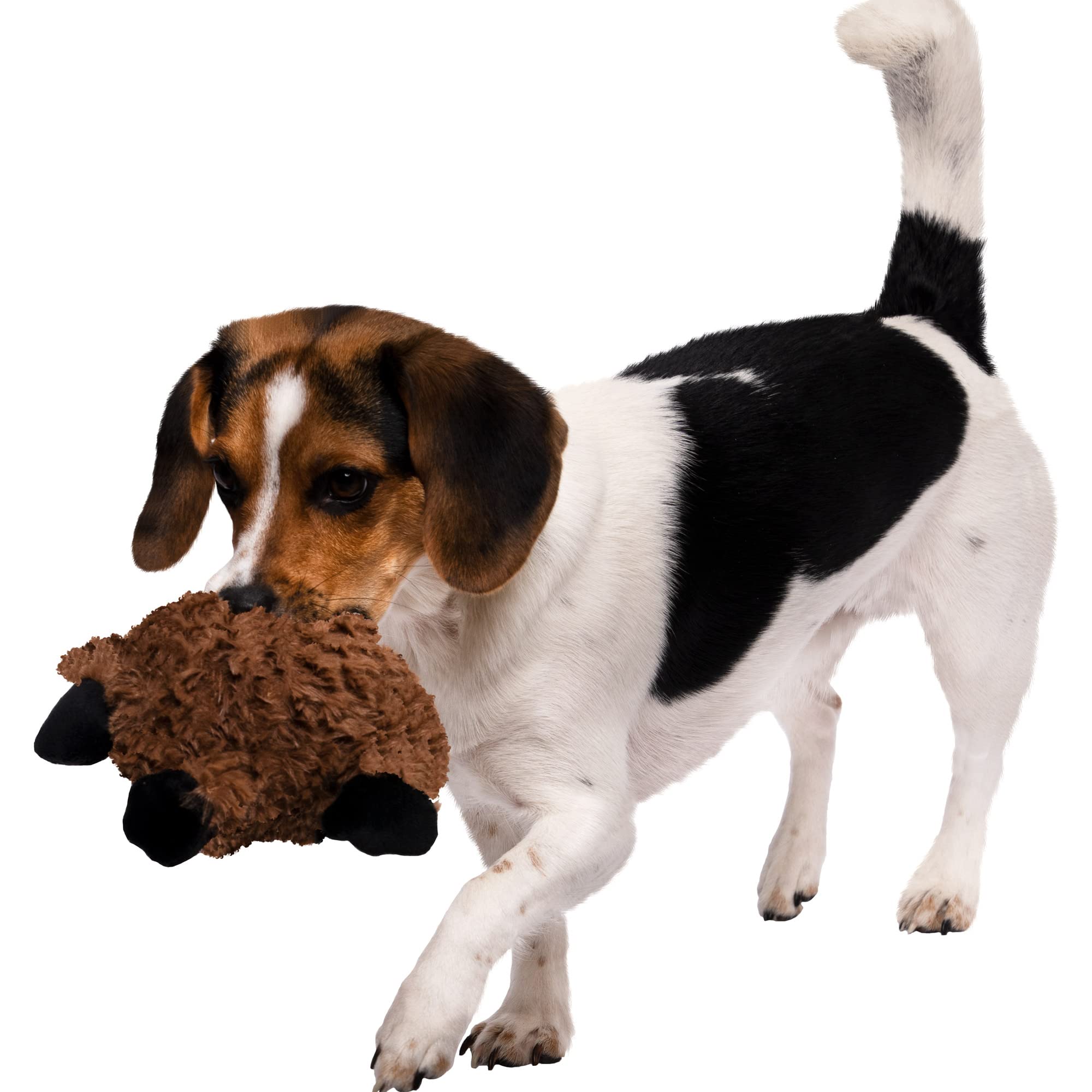 goDog Sloth Plush Dog Toy - Squeaky, Chew Guard Technology, Odor-Eliminating Oils, Small, Brown, Model 70114