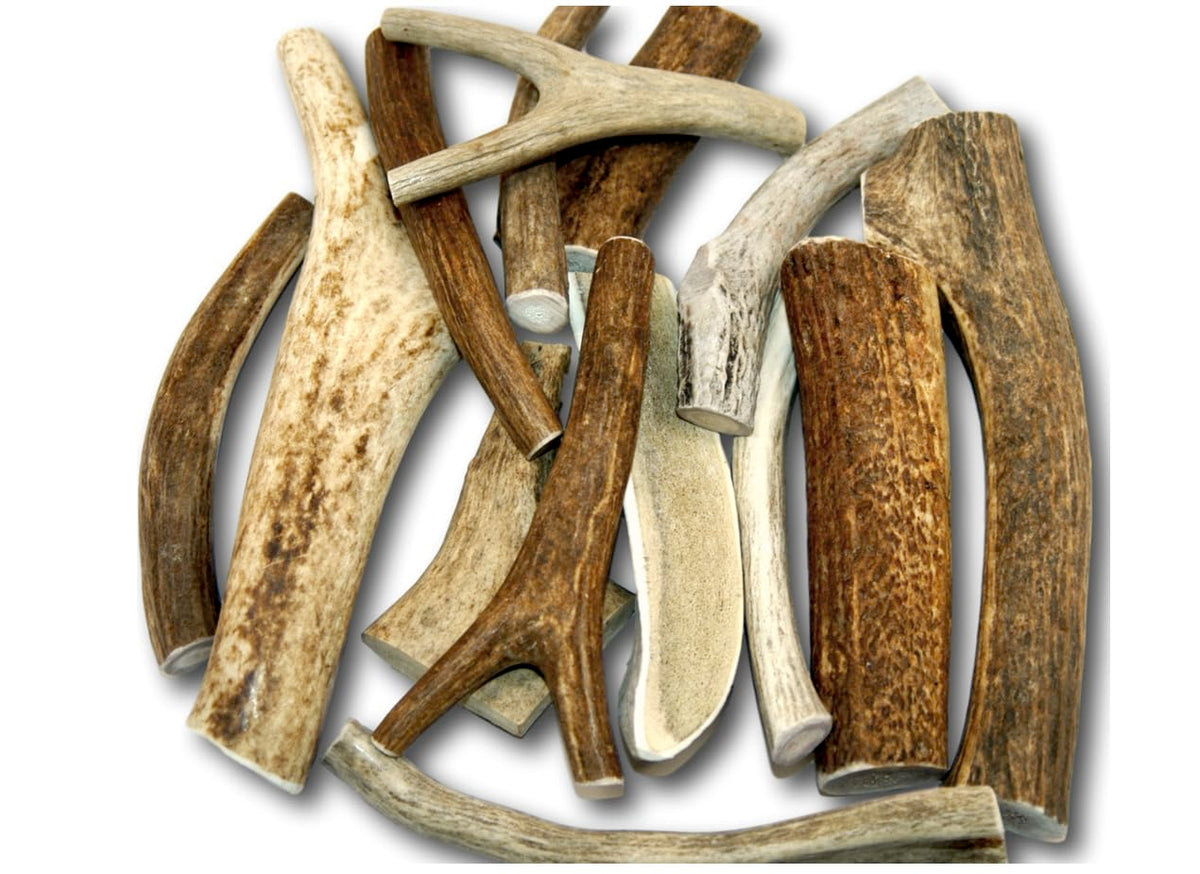 Premium Large Antler - One Pound (+/- An Ounce) Variety Pack - Top Dog Chews