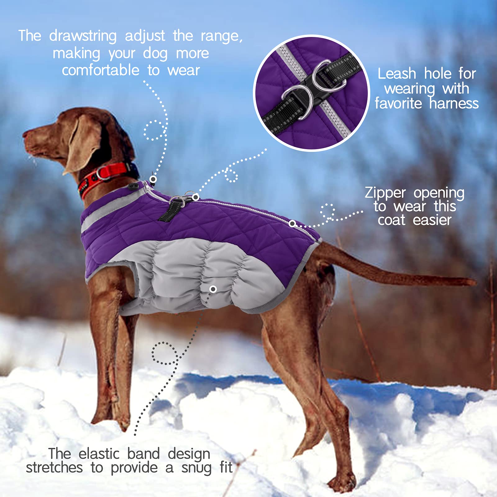 Fuamey Dog Coat - Warm Winter Jacket With Padded Fleece, Reflective, Waterproof & Windproof, Built-In Harness, Purple, Small