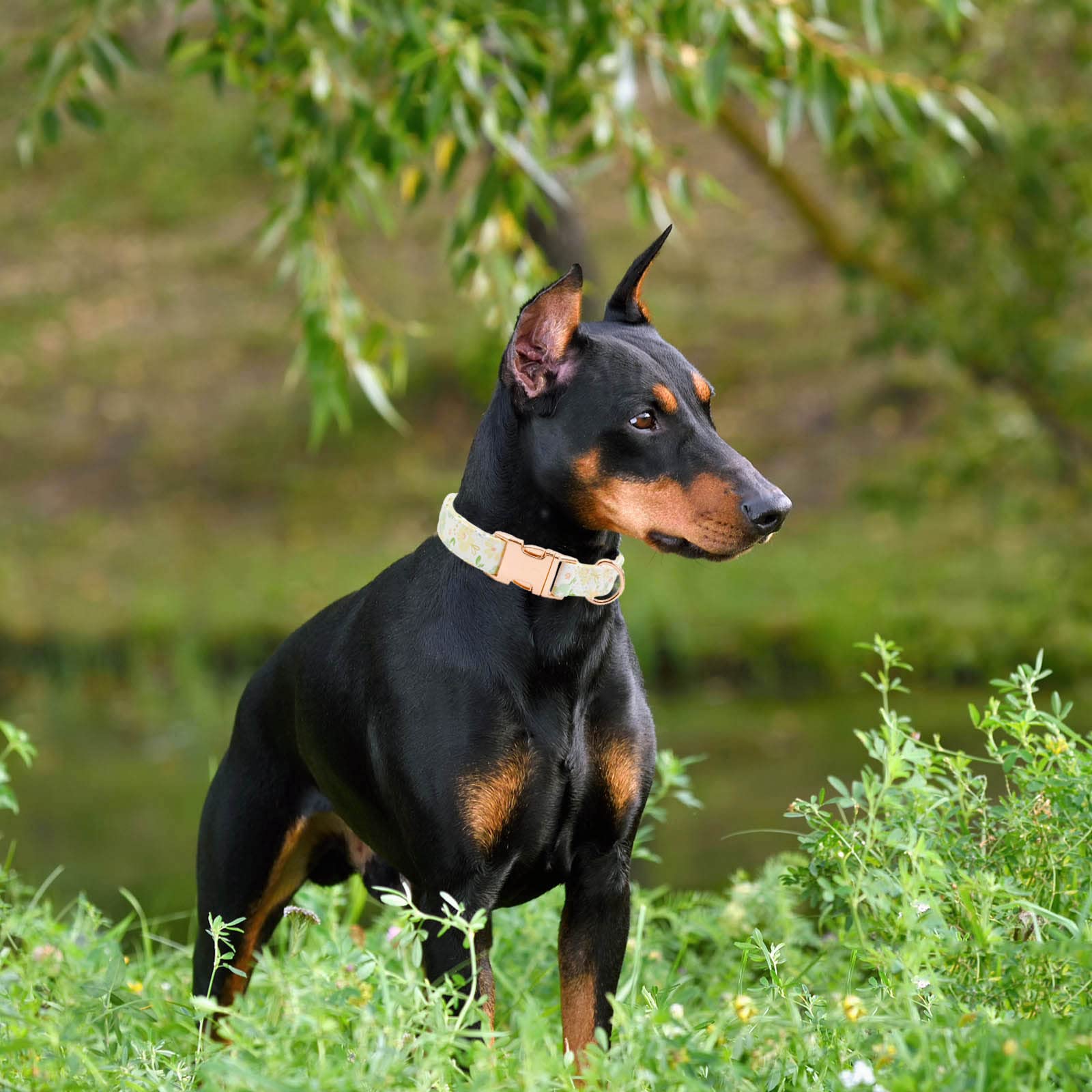 Metal Buckle Dog Collar, Durable Adjustable Dog Collar Soft For Small Medium Large Dogs (Green Flowers, L(15-23In)