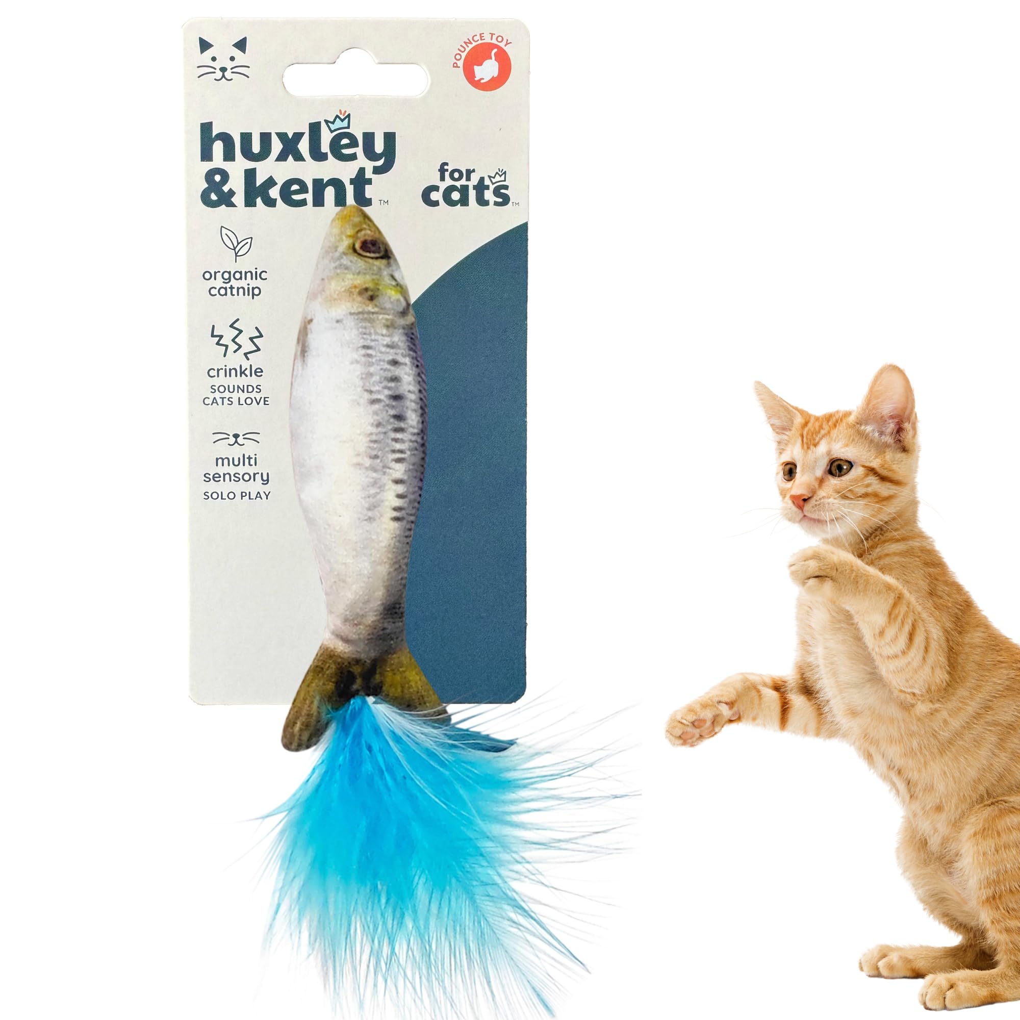 Huxley & Ket Plush Cat Toy | Sardine | Strong Catnip Filled Cat Toy | Plush Interactive Kitten And Cat Toy With Catnip And Crink