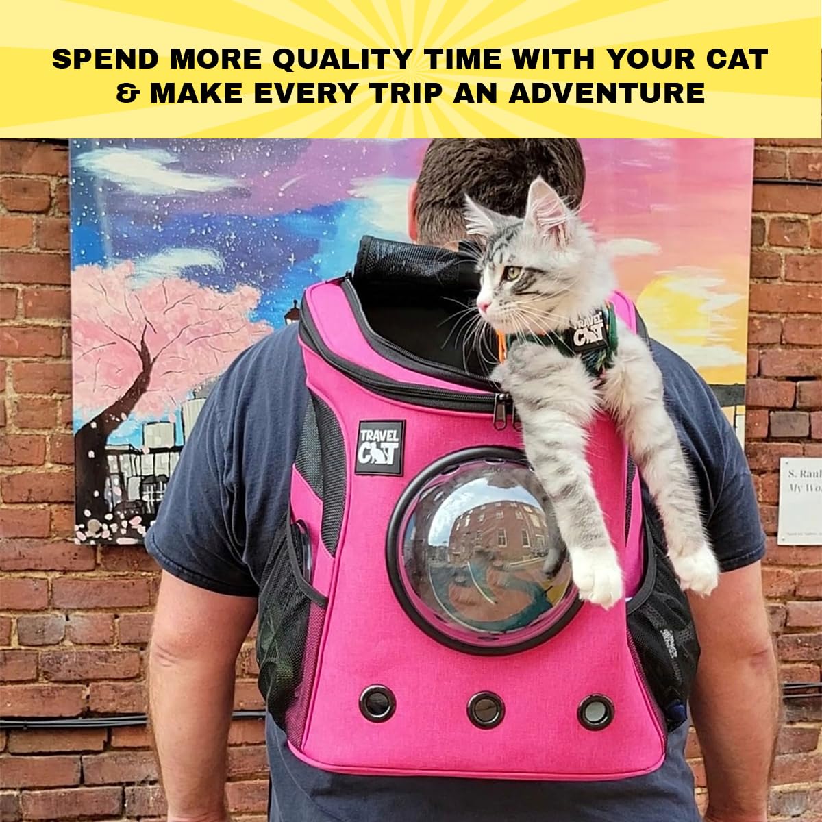 Fat Cat Backpack Carrier - Airline Approved Cat Carrier With Space Capsule Bubble For For Small Cats, Kitten - Premium Deep Rose