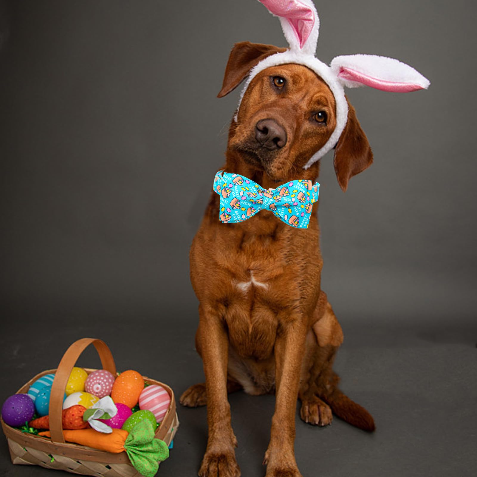 Lionheart Glory Dog Bow Collar Easter Day Dog Collar For Medium Dogs,Easter Egg Dog Collars With Bowtie Colorful Dog Collar Spri