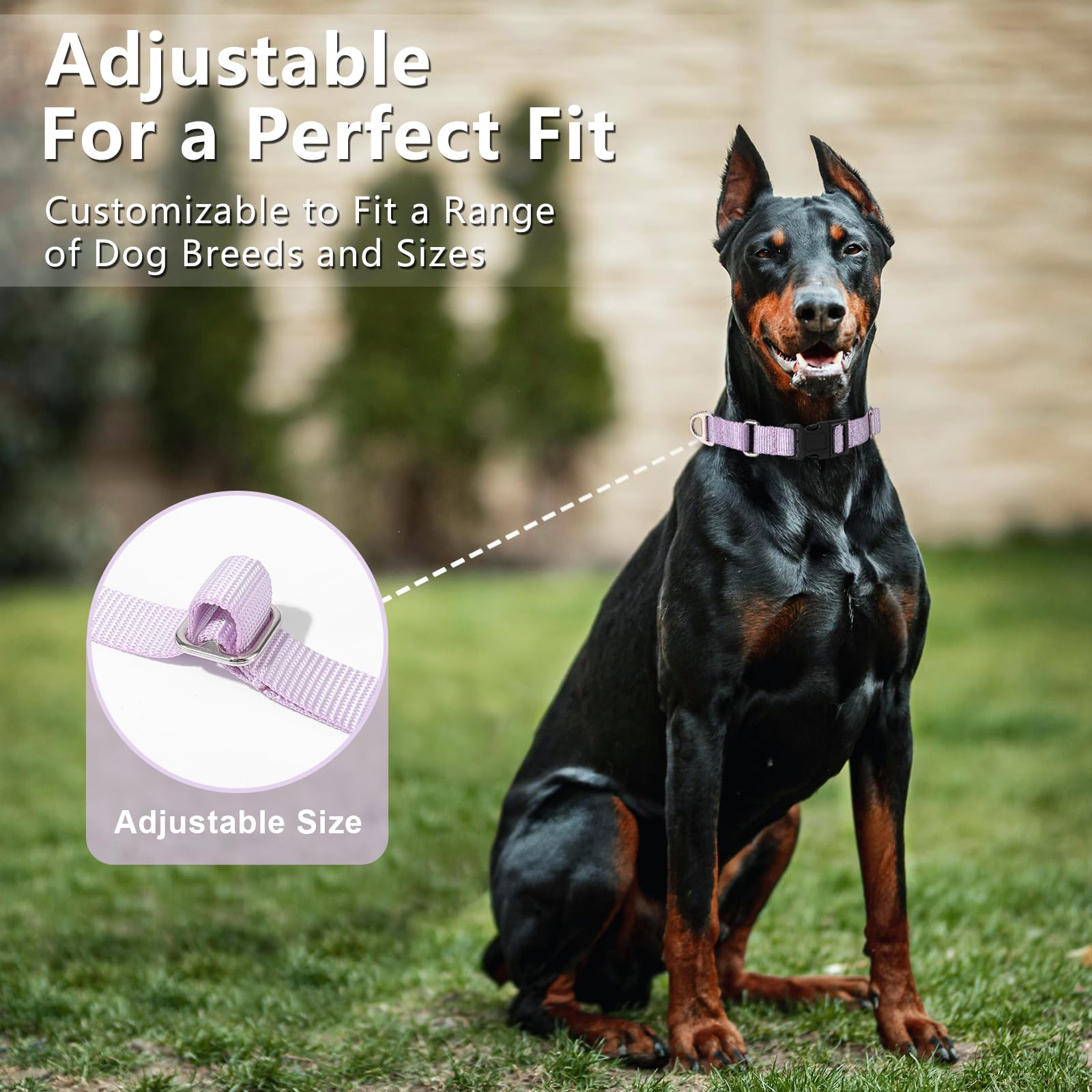 Rttochfy Martingale Collar For Dogs, Adjustable Nylon Dog Collar With Quick Release Buckle, No Choke Dog Training Collar For Sma